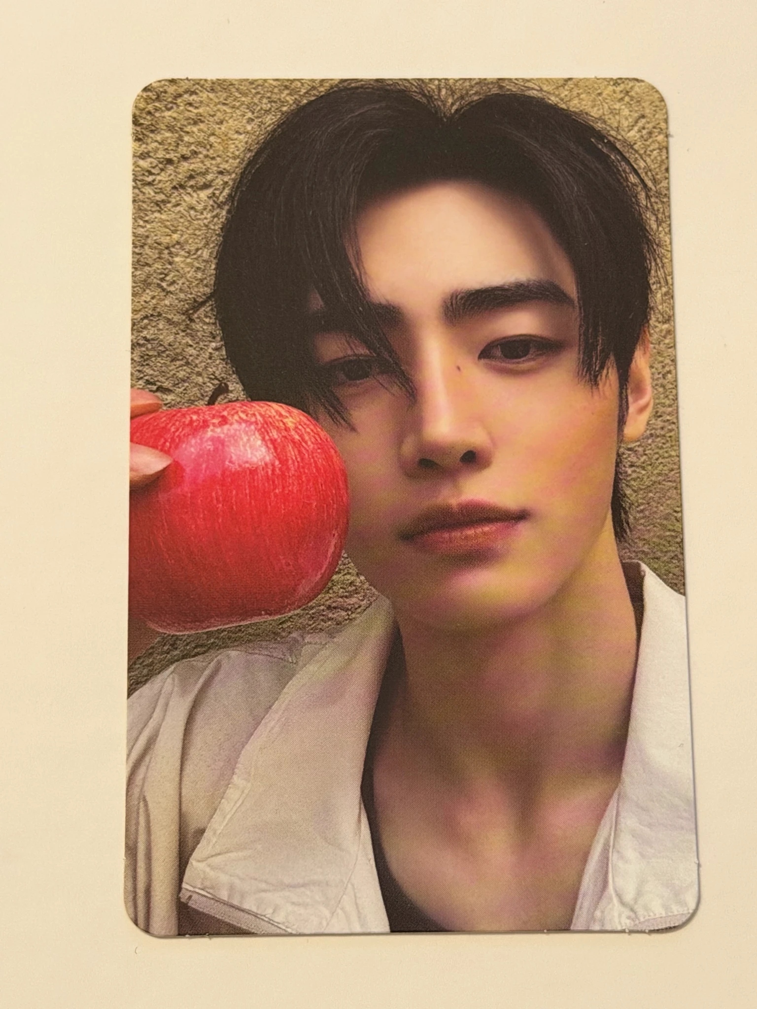 ENHYPEN Sunghoon ENHYPEN - Sunghoon - THE SIN: VANISH Album album photocard korean album fugitives version listing photo 1