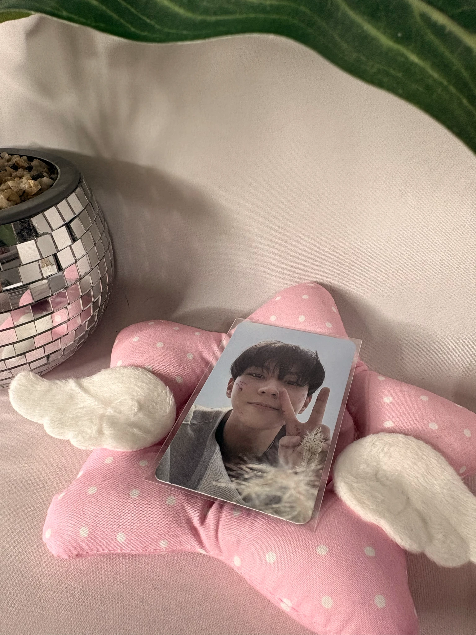 ENHYPEN Jungwon ENHYPEN - Jungwon - THE SIN: BLISS Album take 2 version album photocard listing photo 1