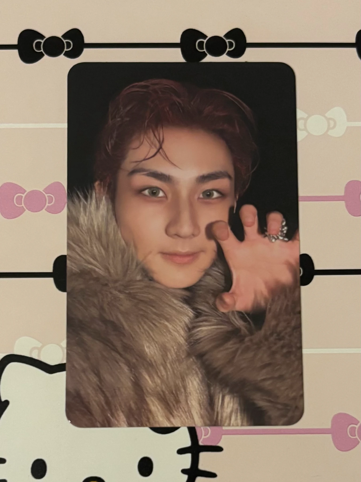 ENHYPEN Jungwon ENHYPEN - Jungwon - THE SIN: BLISS Album album photocard listing photo 1