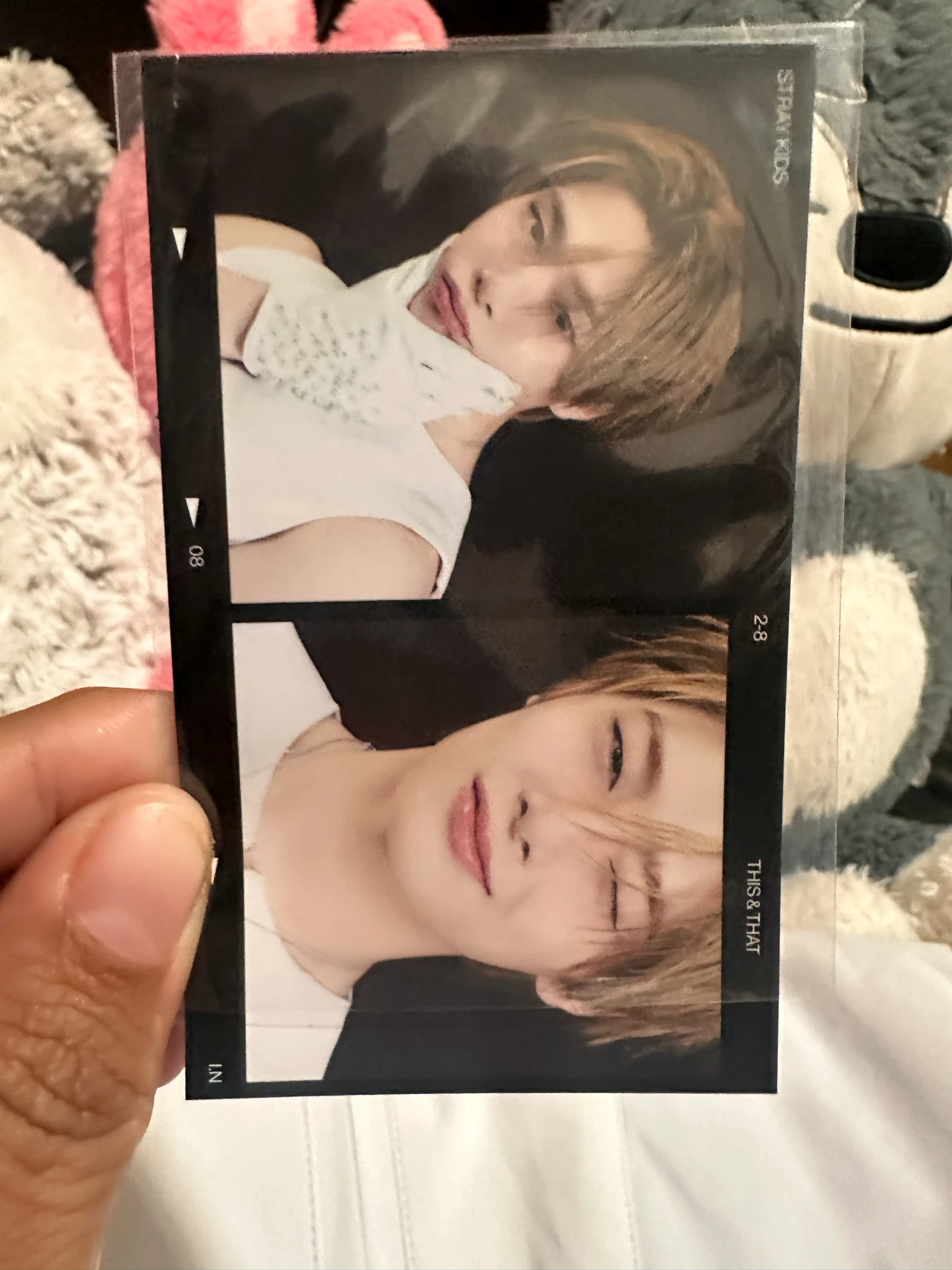 Stray Kids I.N Stray Kids - I.N - This & That Album 2 cut photo album inclusion limited edition truck version listing photo 1