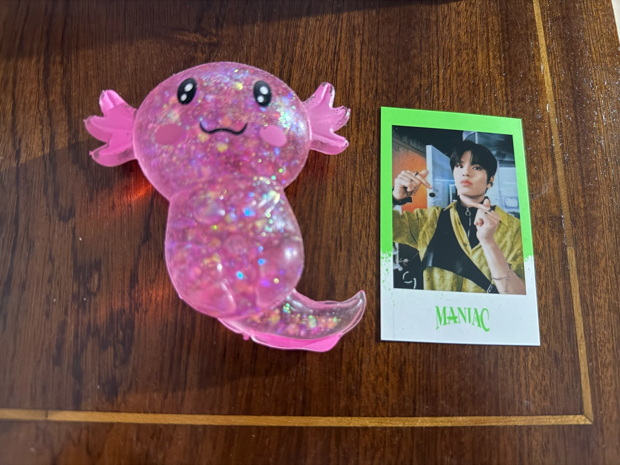 Stray Kids Seungmin Stray Kids - Seungmin - Maniac World Tour Event pre-order benefit (pob) merch photocard polaroid skzoo version seoul listing photo 1
