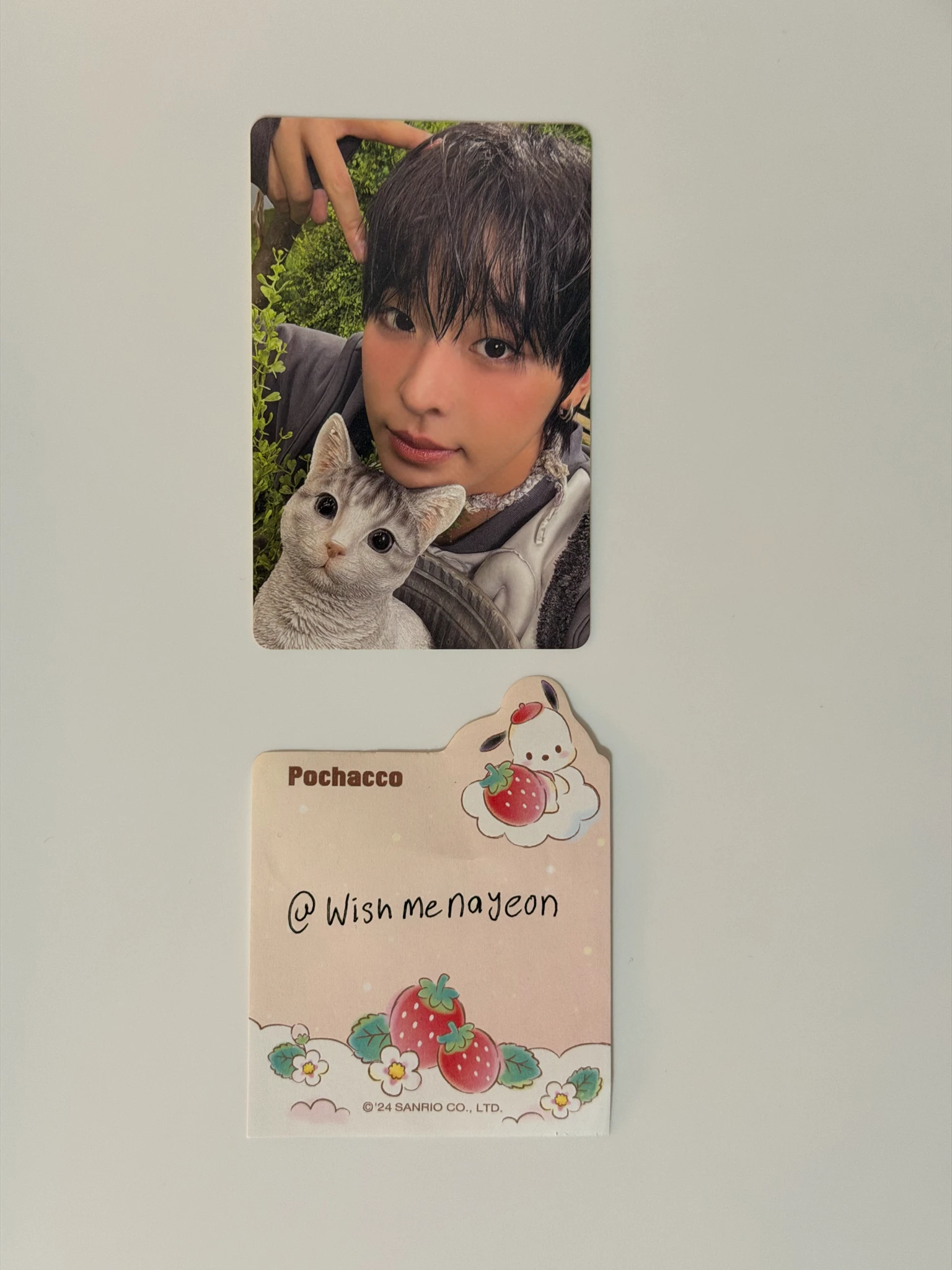 NCT WISH Riku NCT Wish - Riku - COLOR Album album photocard jewel case version listing photo 1