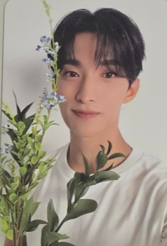 SEVENTEEN DK SEVENTEEN - DK - 17 IS RIGHT HERE Album album photocard dear version listing photo 1