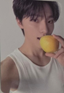SEVENTEEN Dino SEVENTEEN - Dino - 17 IS RIGHT HERE Album carat ver. listing photo 1