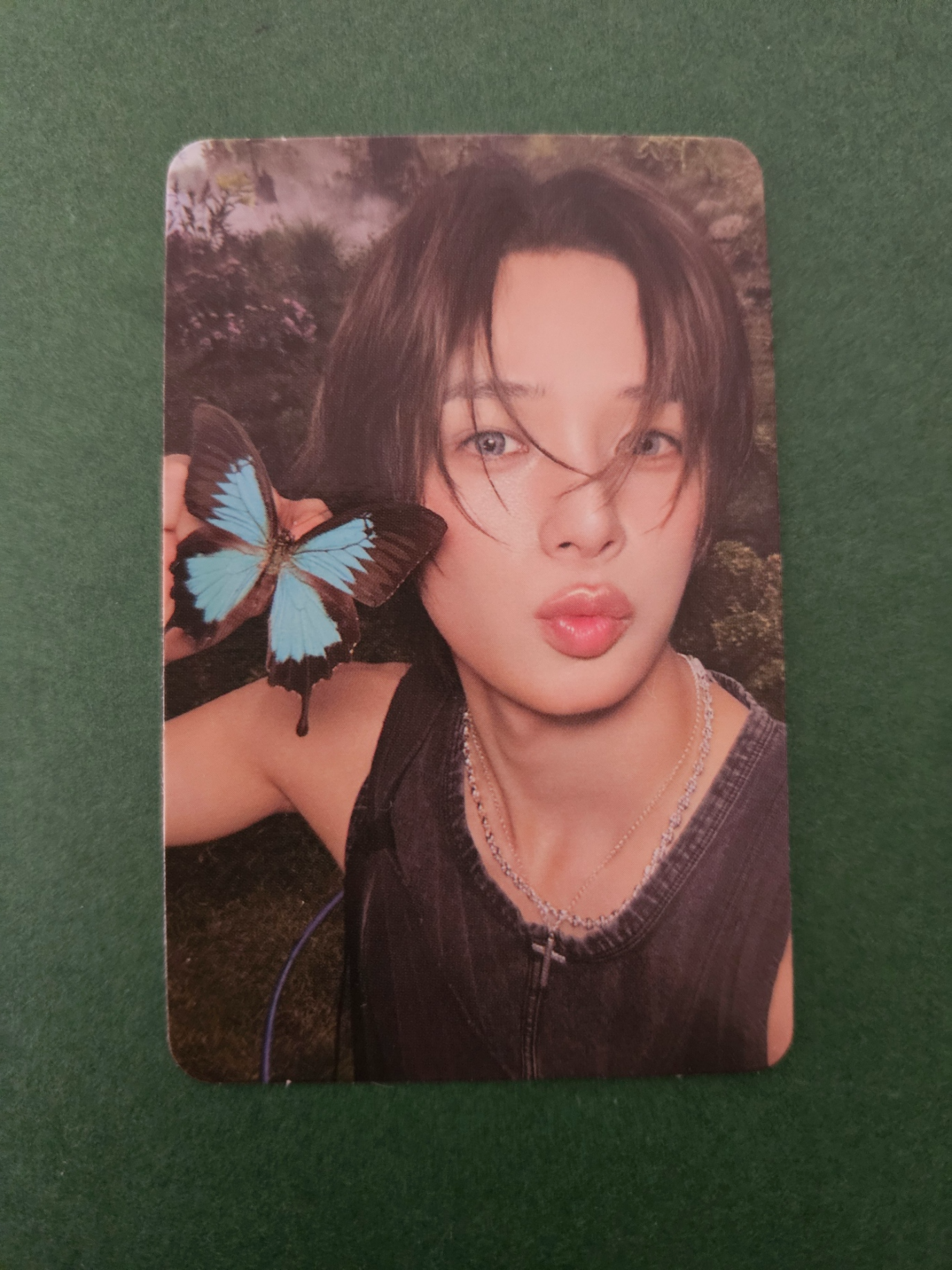 &TEAM K &TEAM - K - Back to Life Album album photocard roar version B version listing photo 1