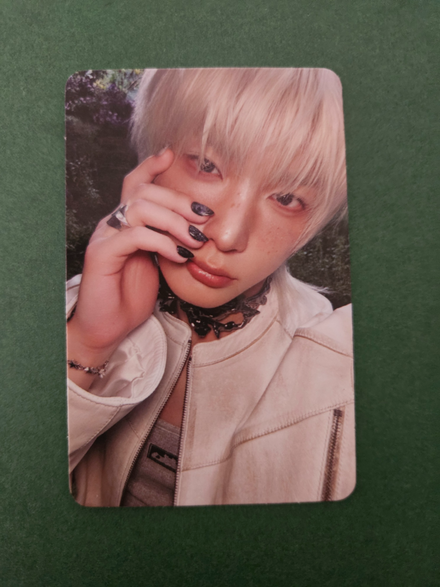 &TEAM Harua &TEAM - Harua - Back to Life Album A version album photocard roar version listing photo 1