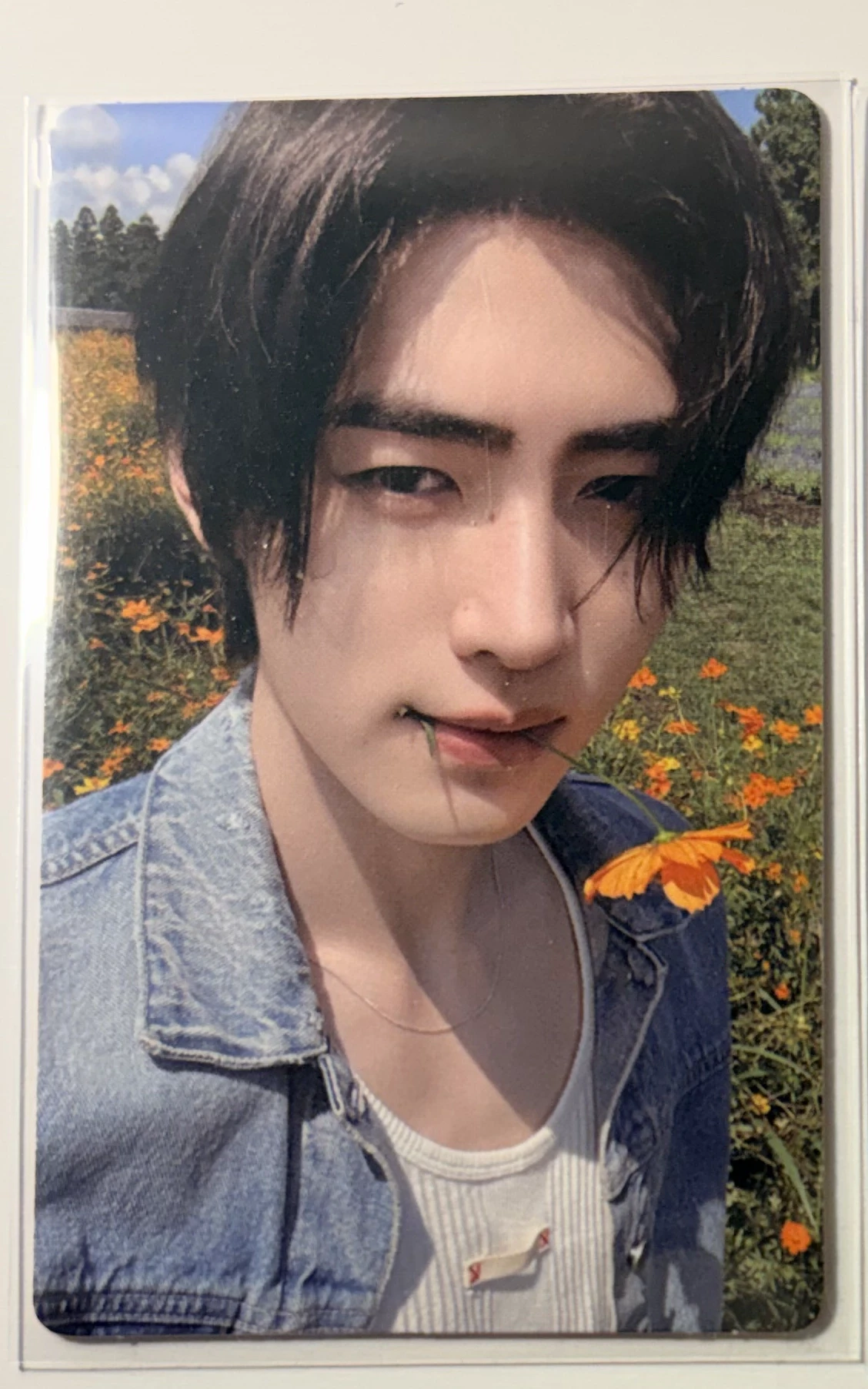 ENHYPEN Sunghoon ENHYPEN - Sunghoon - ORANGE BLOOD Album weverse album version korean album album photocard listing photo 1