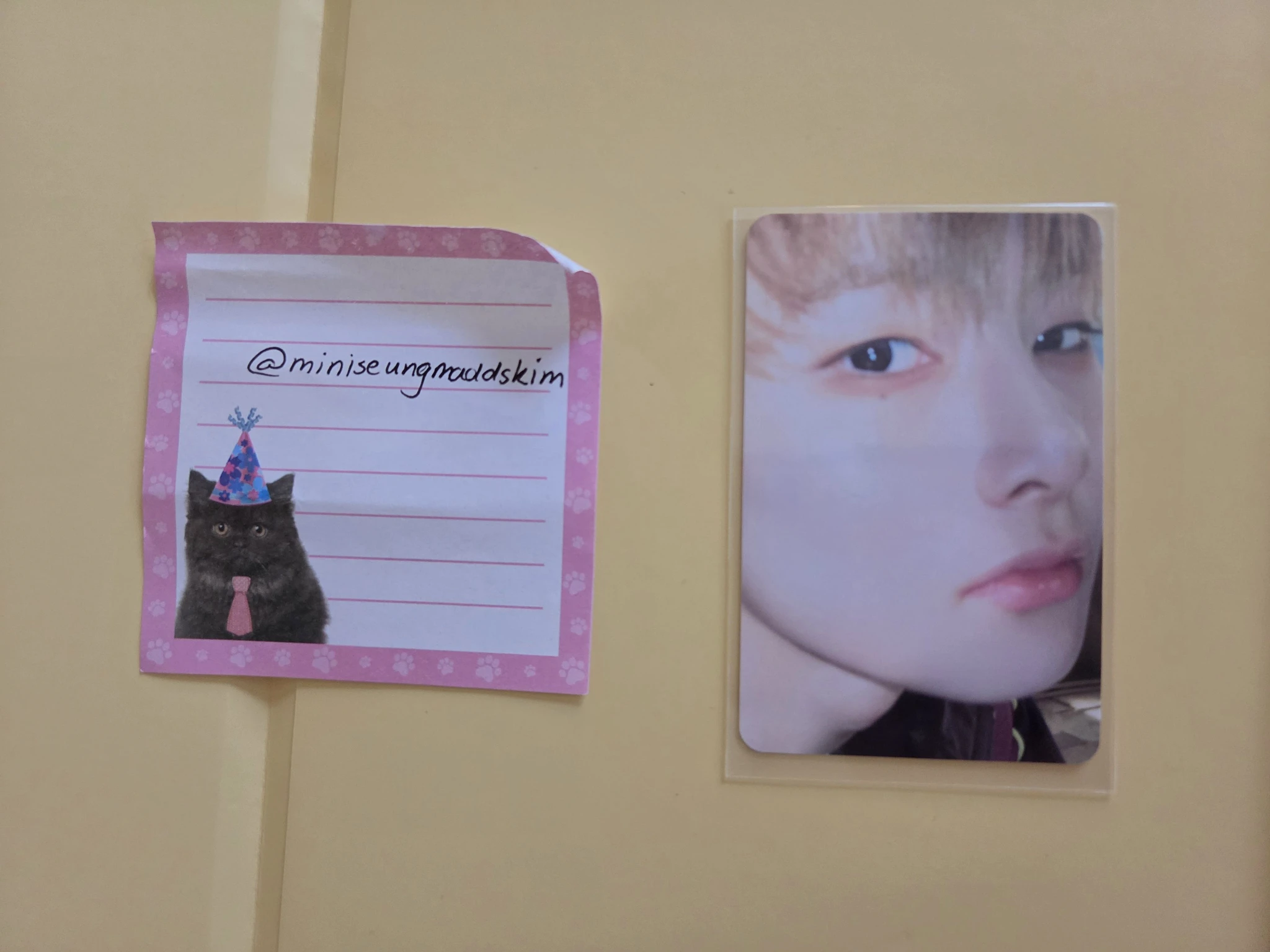 Stray Kids I.N Stray Kids - I.N - This & That Album album photocard listing photo 1