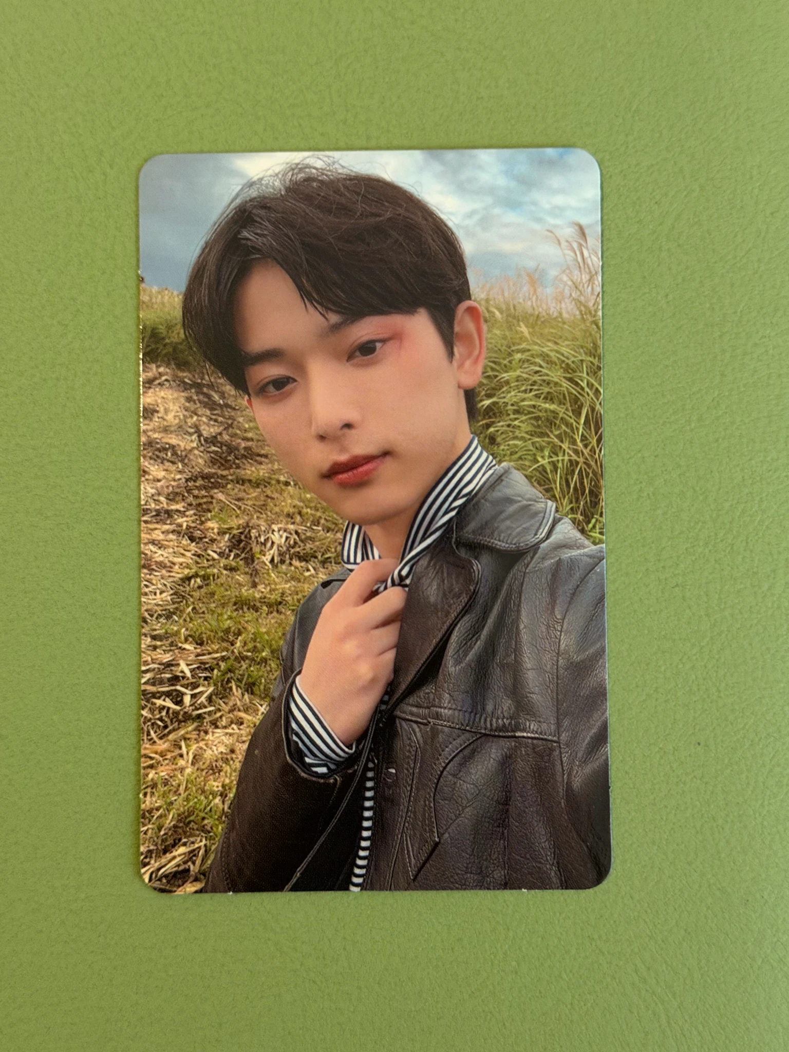 &TEAM Harua &TEAM - Harua - &Team Memories: Our First Link Other merch photocard photocard set listing photo 1