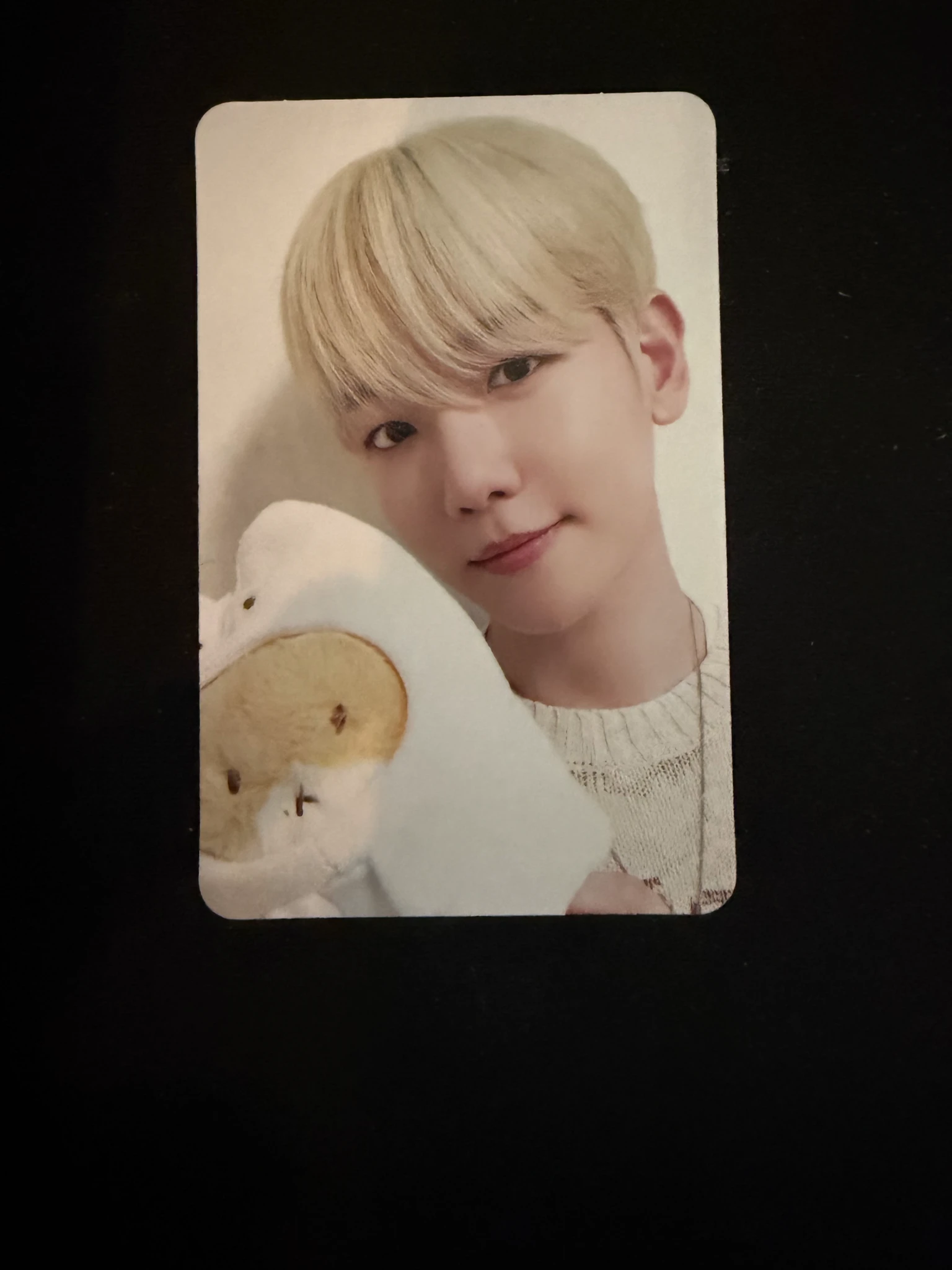 EXO Baekhyun EXO - Baekhyun - TEOLAEGI ZIPDURI POP-UP STORE Event merch photocard plush doll listing photo 1