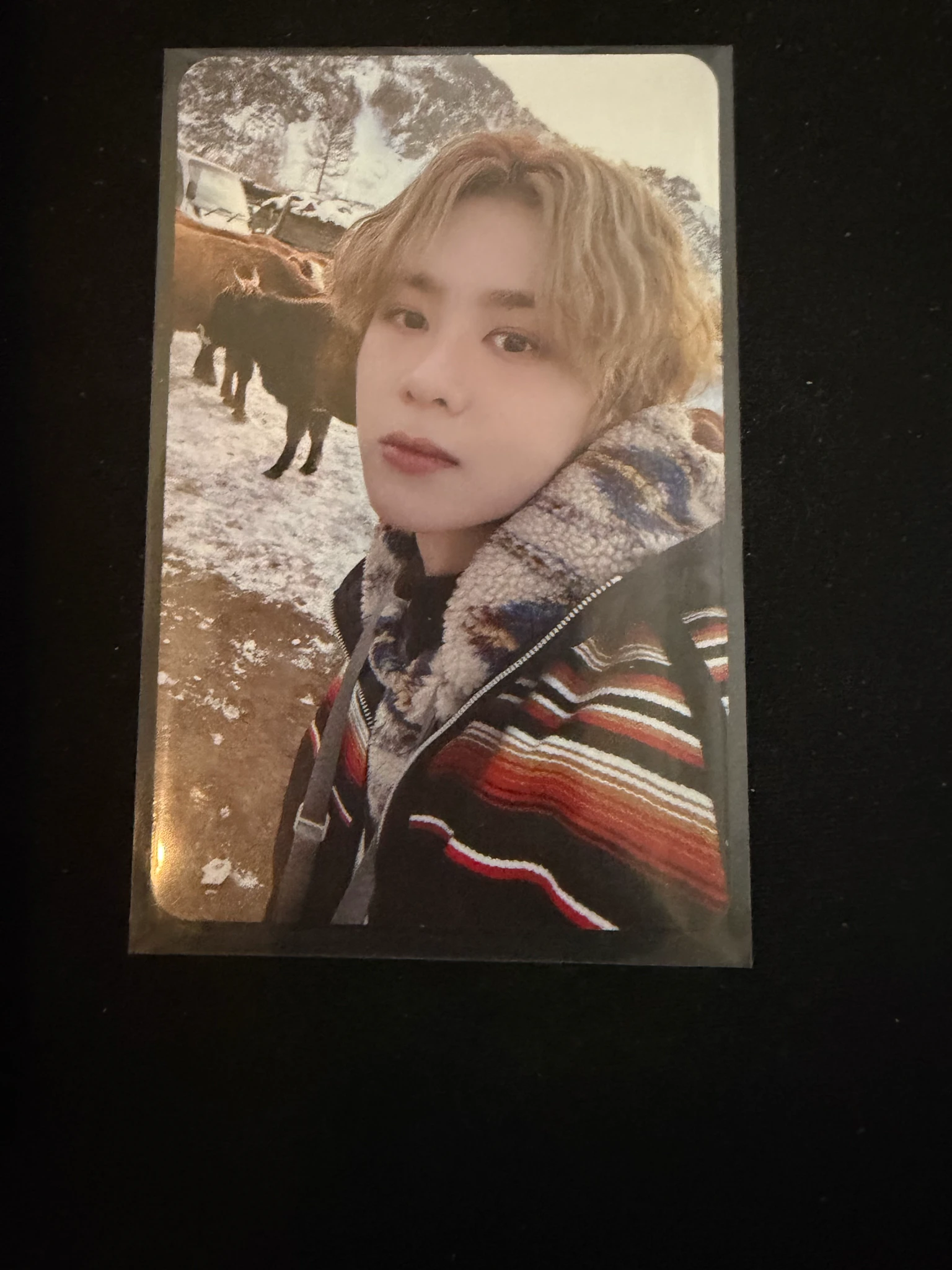 NCT Kun NCT - Kun - Golden Age Album listing photo 1