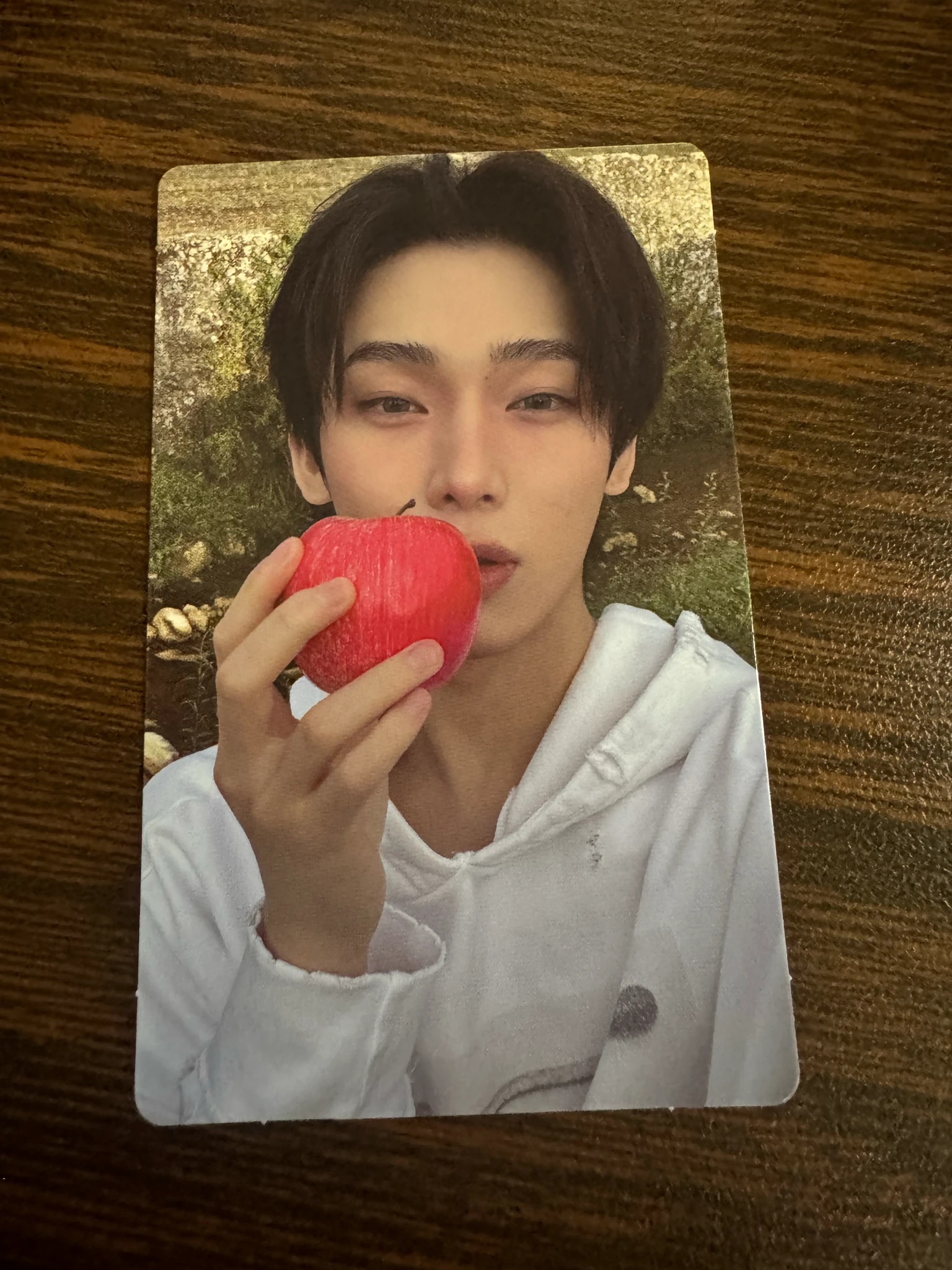 ENHYPEN Sunoo ENHYPEN - Sunoo - THE SIN: VANISH Album standard version weverse global shop (wvg) album live showcase pob (pre-order benefit) listing photo 1