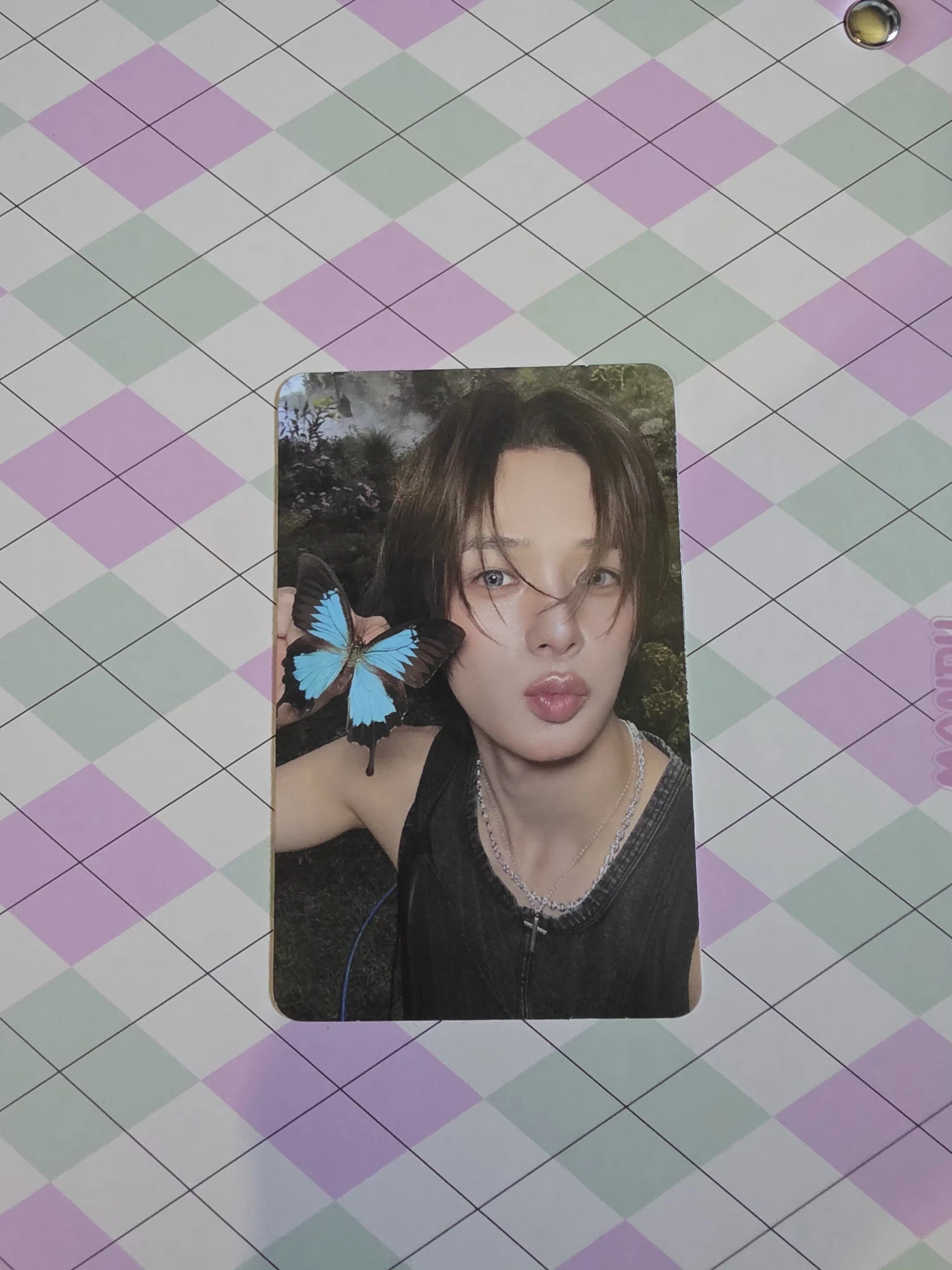 &TEAM K &TEAM - K - Back to Life Album album photocard roar version B version listing photo 1