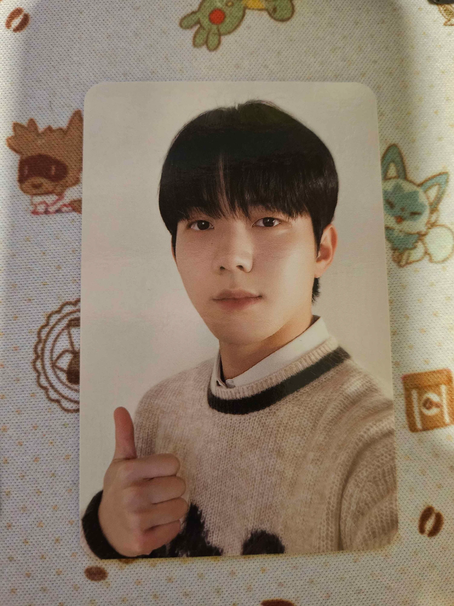 DAY6 Dowoon DAY6 - Dowoon - Fourever Album album photocard standard version listing photo 1