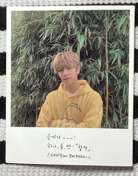 Stray Kids Seungmin Stray Kids - Seungmin - GO LIVE Album album photocard pre-order benefit polaroid listing photo 1