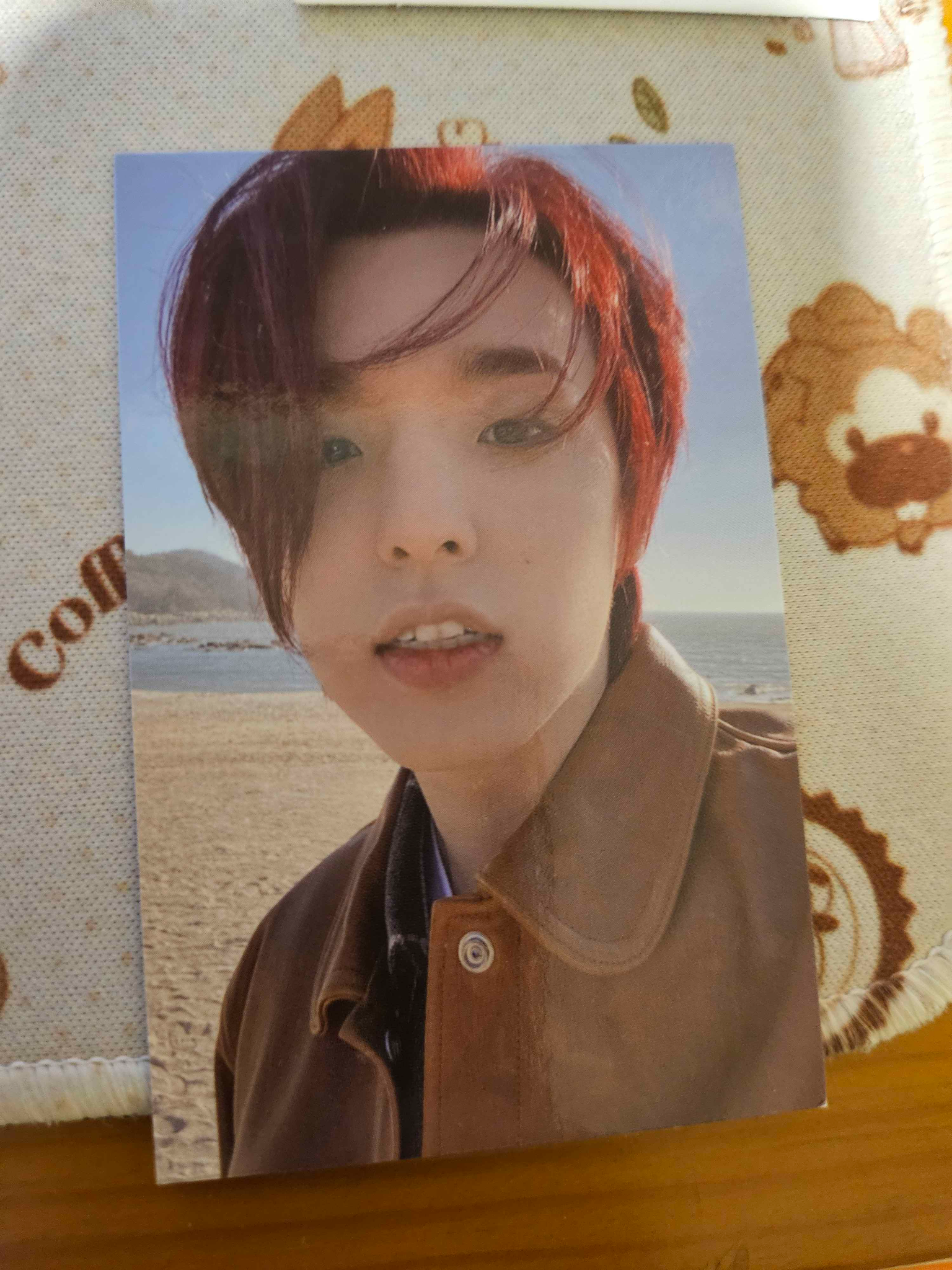 DAY6 Jae DAY6 - Jae - The Book of Us: Negentropy – Chaos Swallowed Up in Love Album album photocard listing photo 1