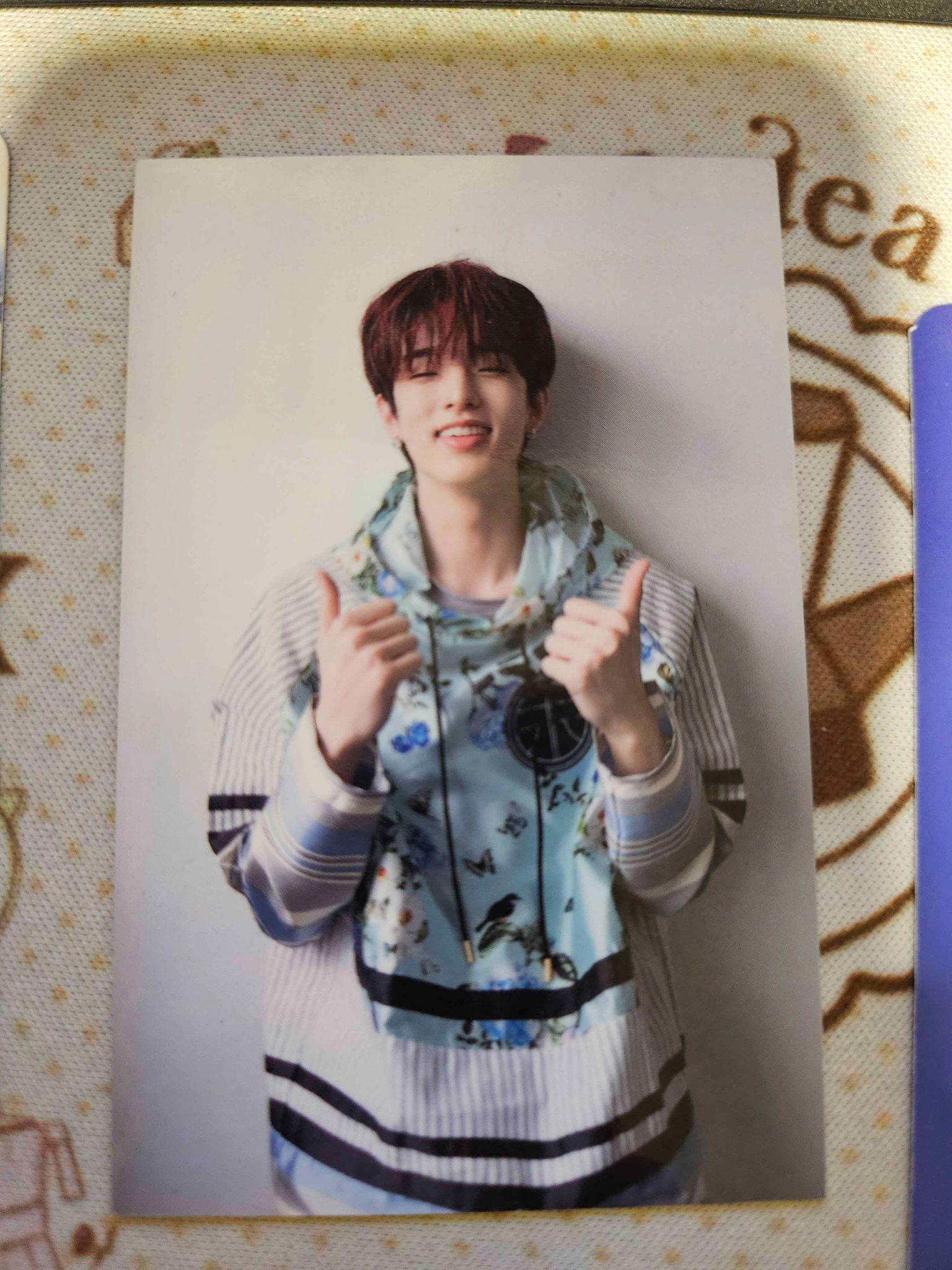 DAY6 Jae DAY6 - Jae - The Book of Us : Gravity Album album photocard listing photo 1