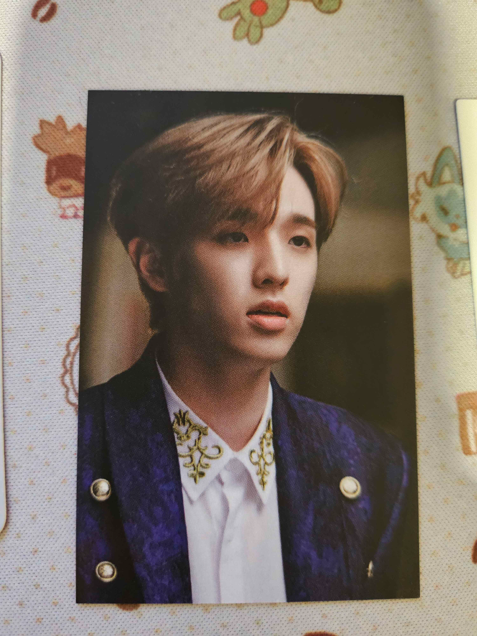 DAY6 Jae DAY6 - Jae - The Book of Us : The Demon Album photocard set subk shop purchase benefit listing photo 1