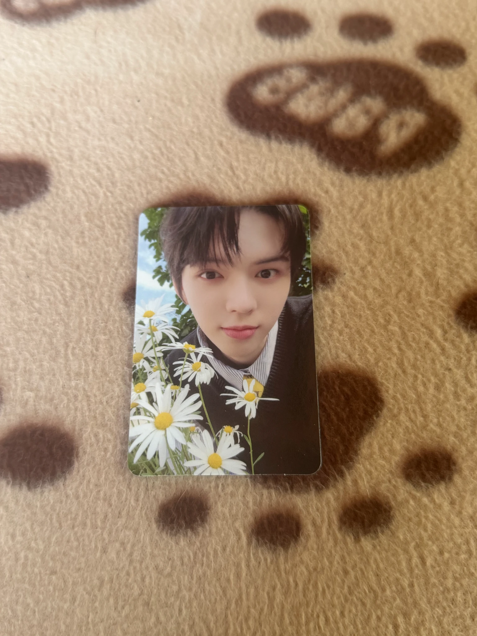 AMPERS&ONE Brian AMPERS&ONE - Brian - AMPERSAND ONE Album album photocard sheesh version listing photo 1