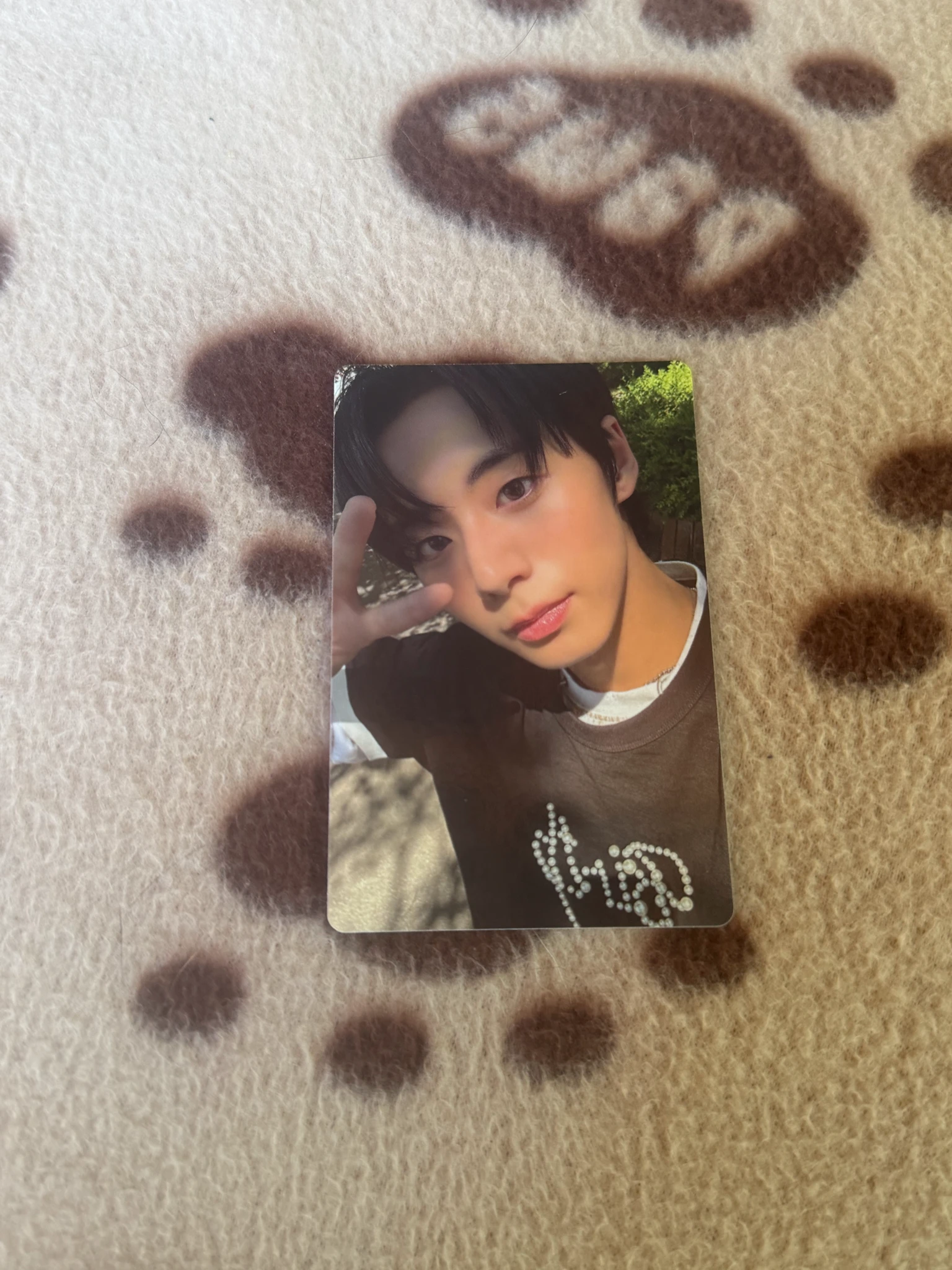 AHOF Jeongwoo AHOF - Jeongwoo - WHO WE ARE Album photobook version album photocard listing photo 1