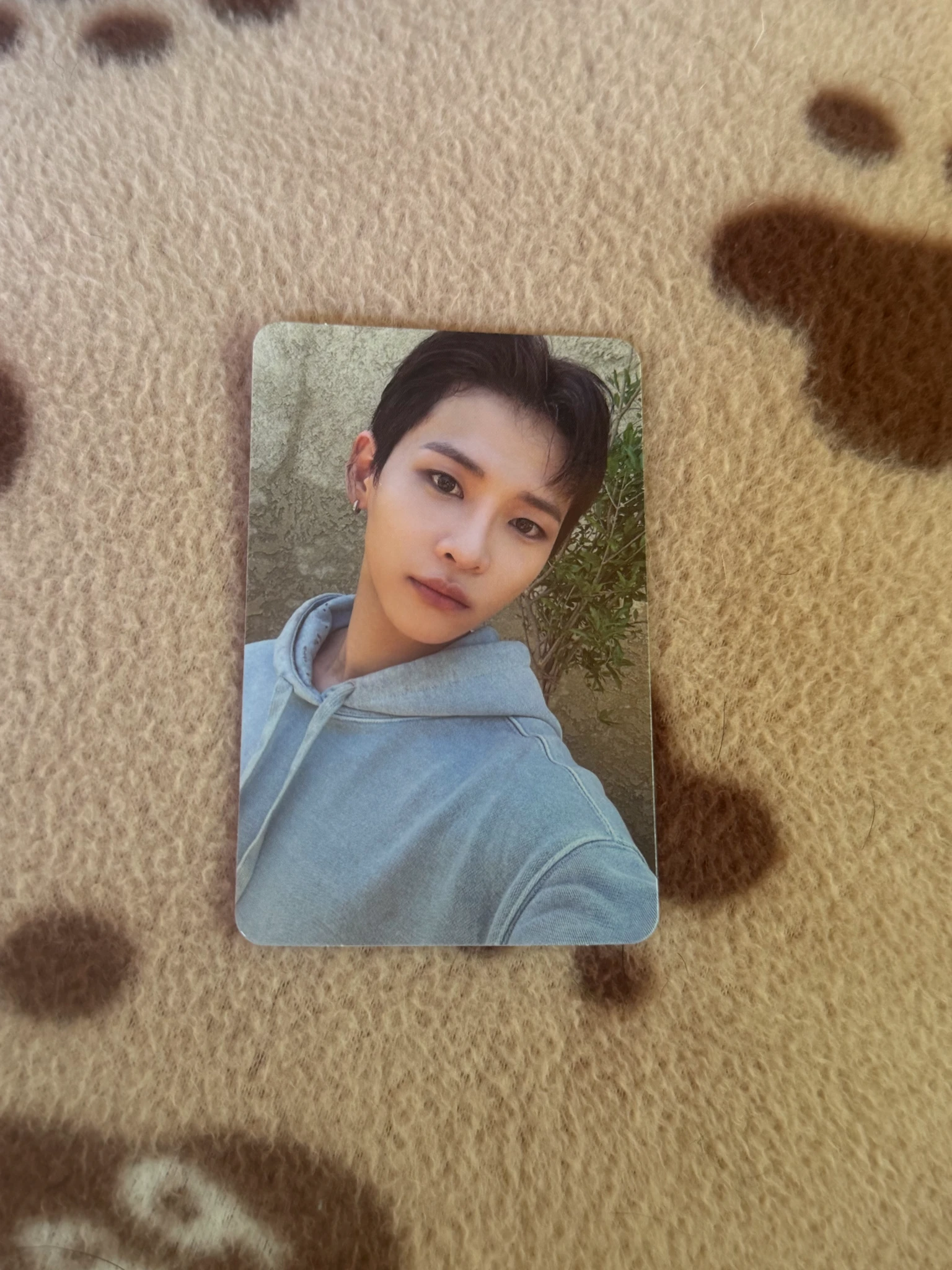 POW Hyunbin POW - Hyunbin - Boyfriend Album album photocard listing photo 1