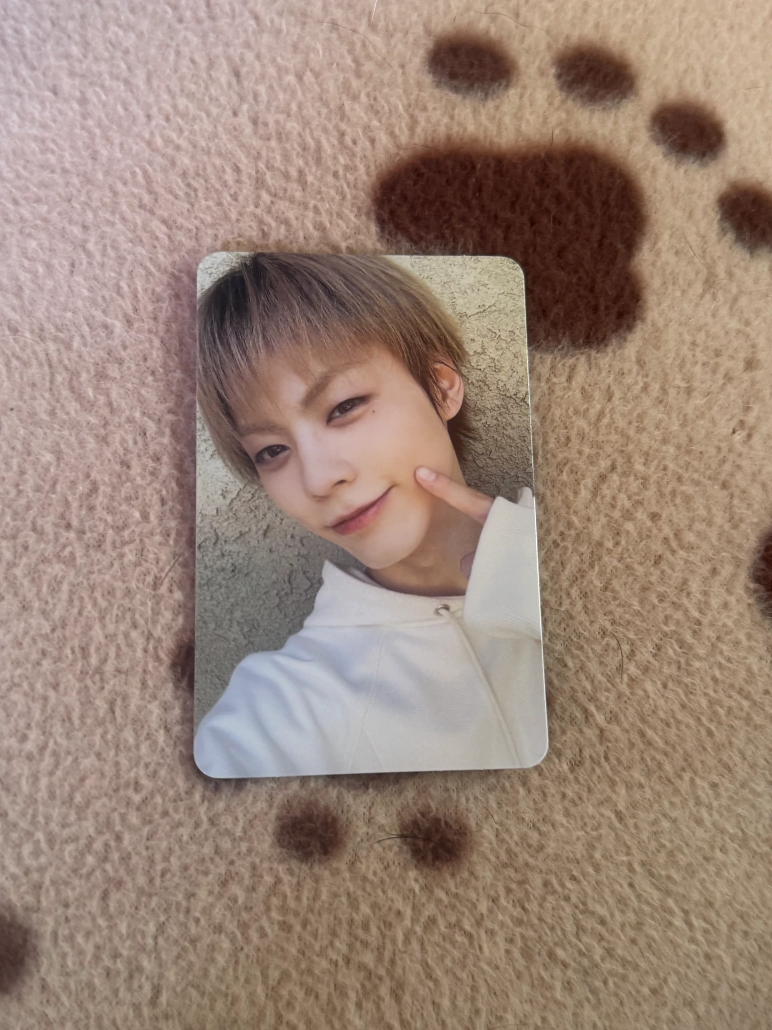 POW Hong POW - Hong - Boyfriend Album album photocard photocard set listing photo 1