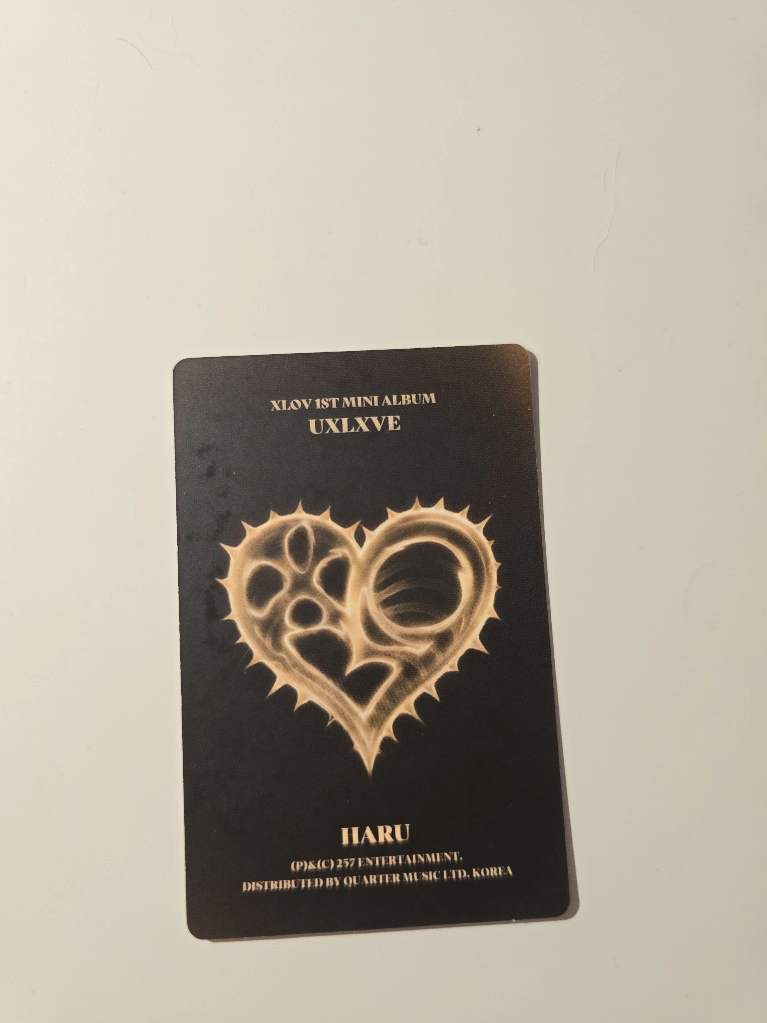 XLOV Haru XLOV - Haru - Uxlxve Album O version listing photo 2
