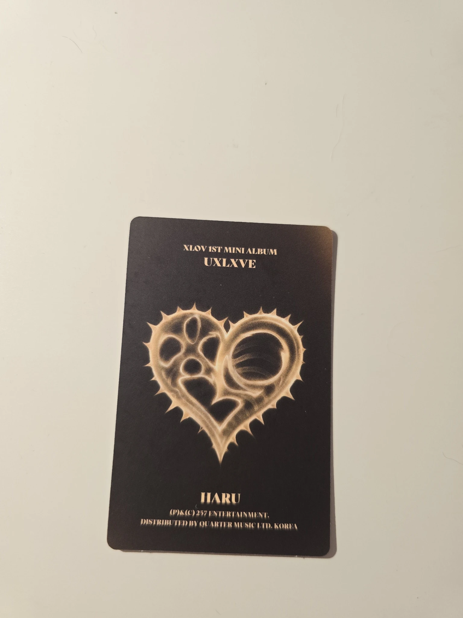 XLOV Haru XLOV - Haru - UXLXVE Album album photocard O version listing photo 2