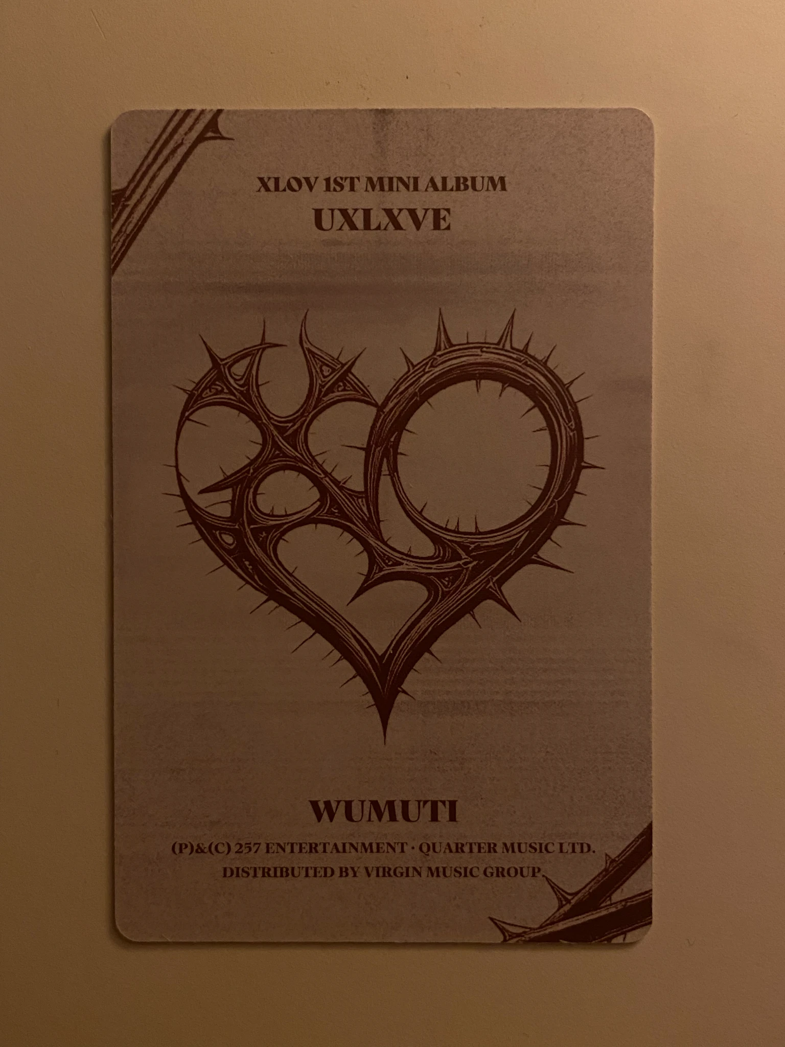 XLOV Wumuti XLOV - Wumuti - UXLXVE Album album photocard US exclusive N version listing photo 2