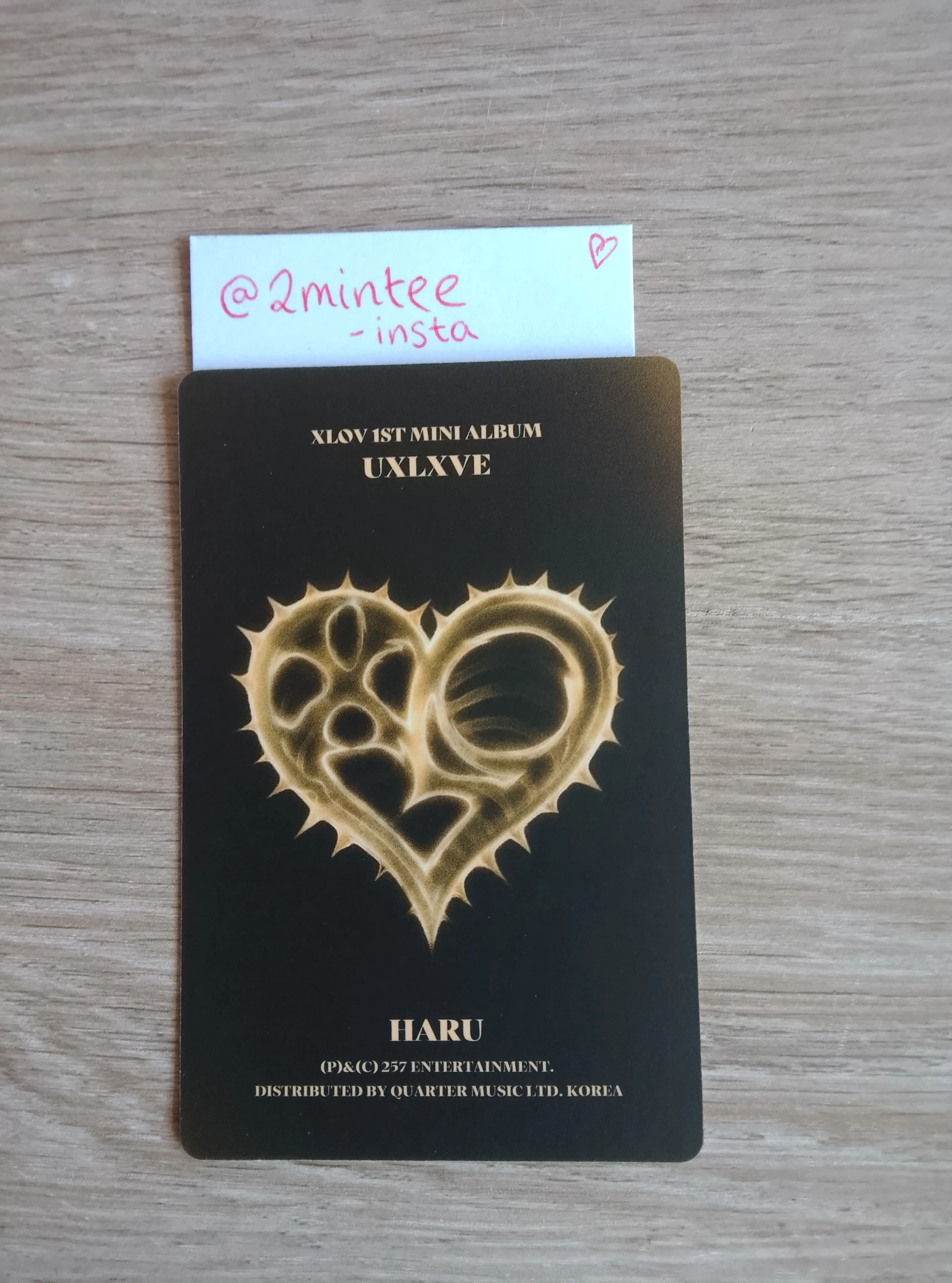XLOV Haru XLOV - Haru - UXLXVE Album album photocard O version listing photo 2