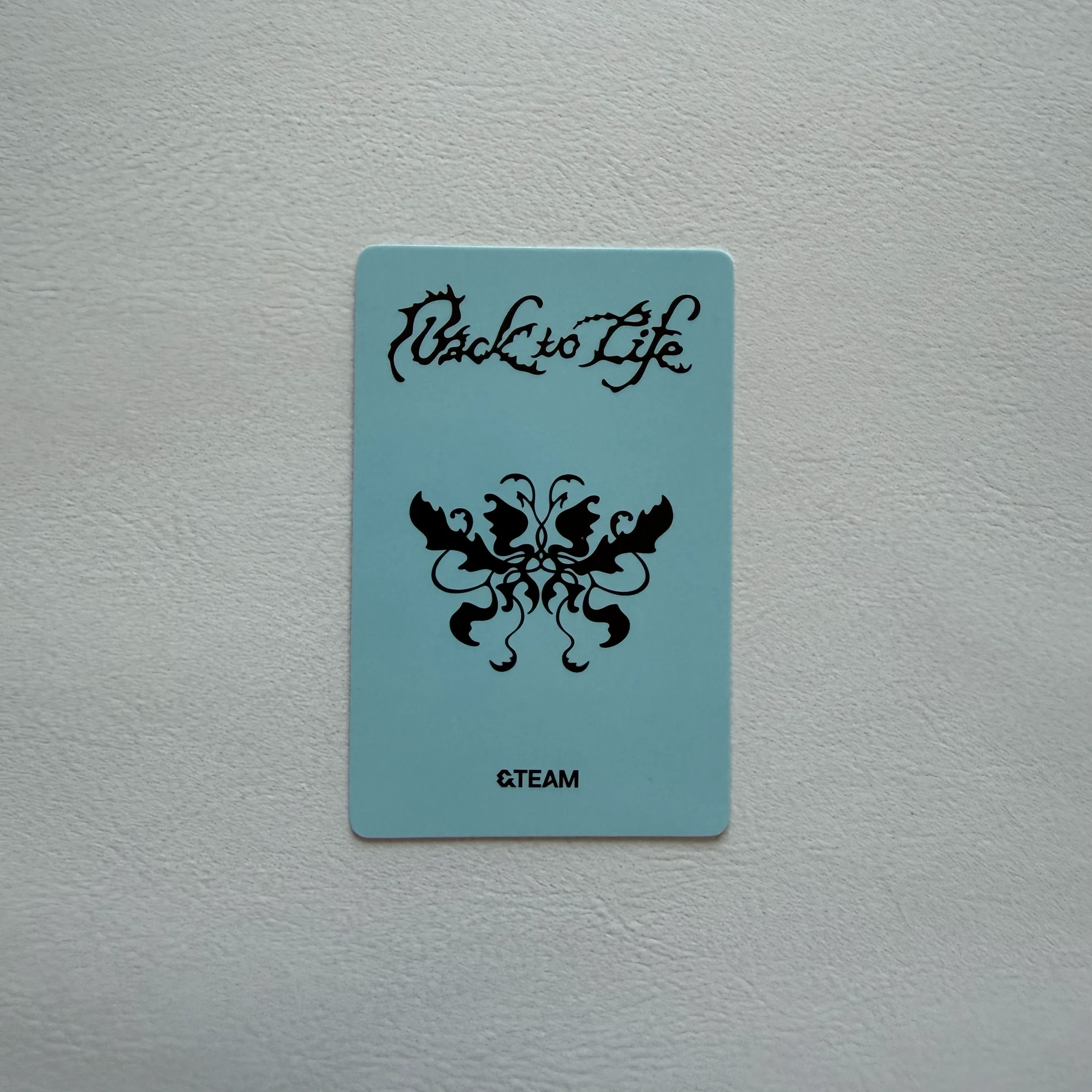 &TEAM Harua  &TEAM - Harua  - Back to Life  Album withfans / yizhiyu (yzy) round 16 video call (fancall) listing photo 2