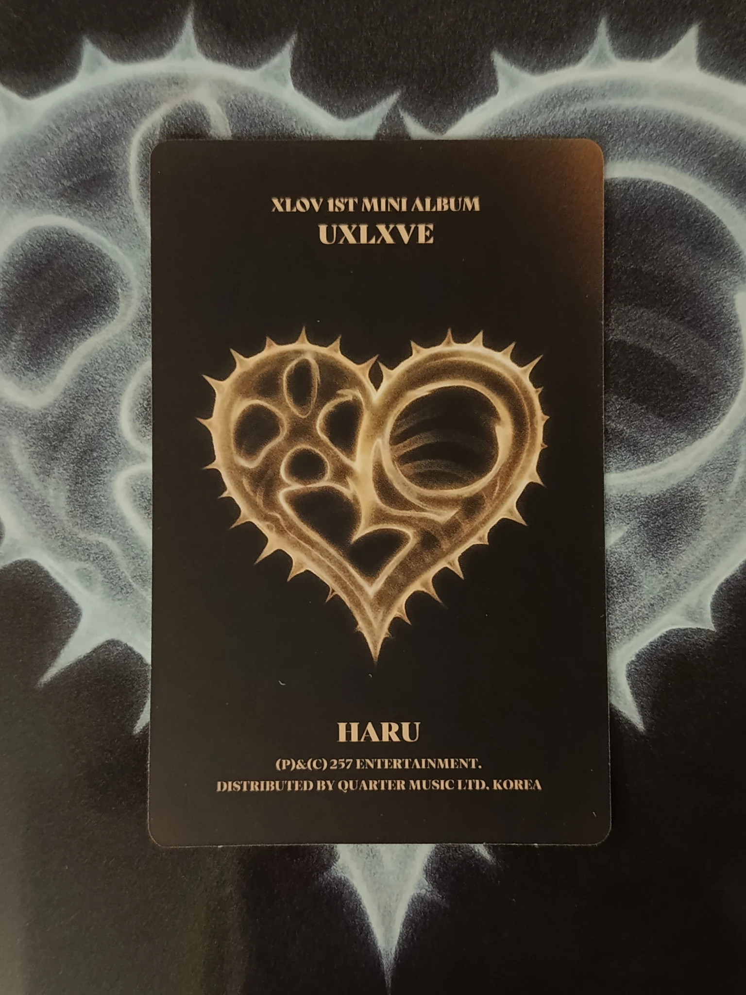 XLOV Haru XLOV - Haru - Uxlxve Album O version listing photo 2