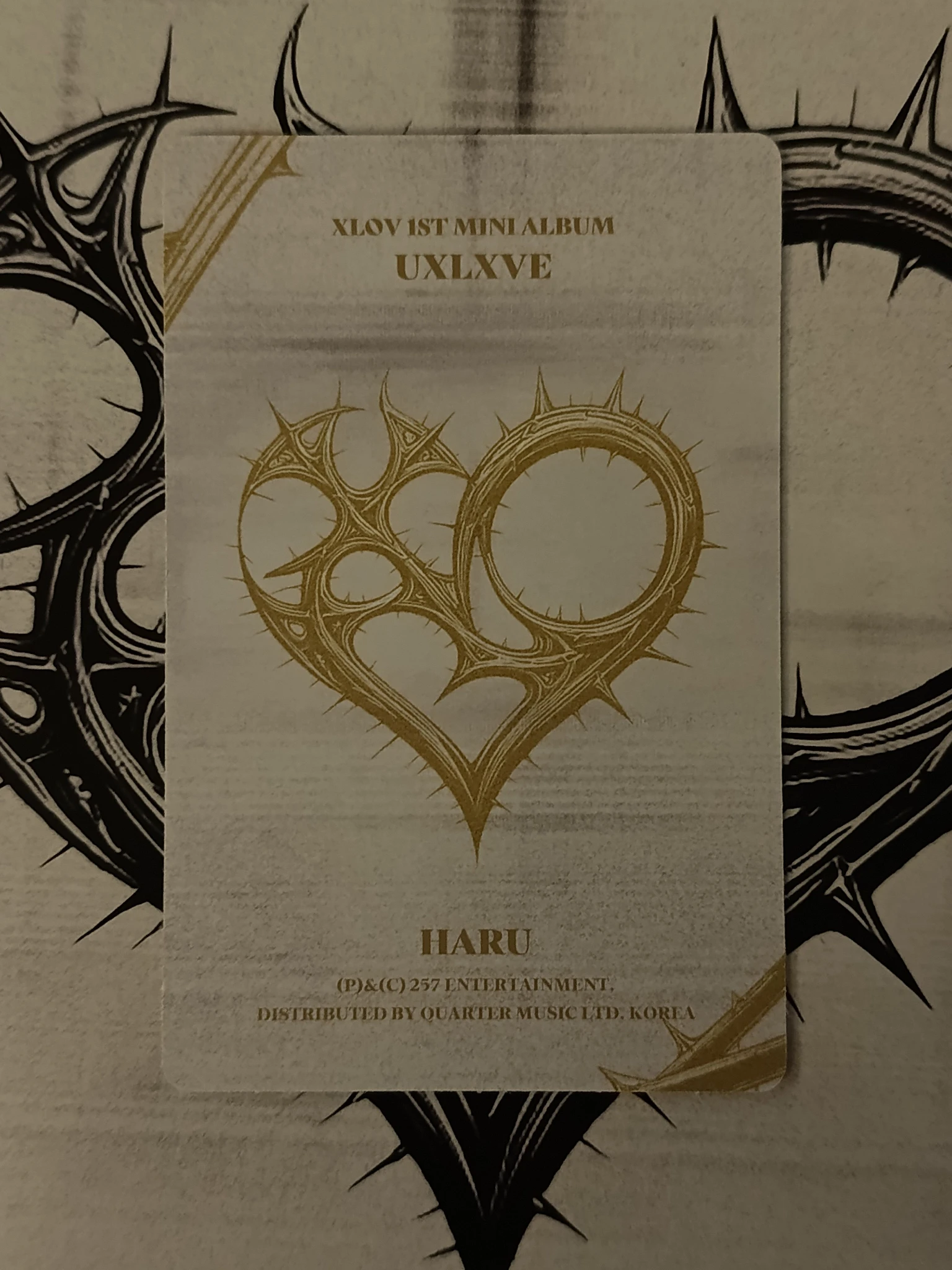 XLOV Haru XLOV - Haru - Uxlxve Album album photocard N version listing photo 2