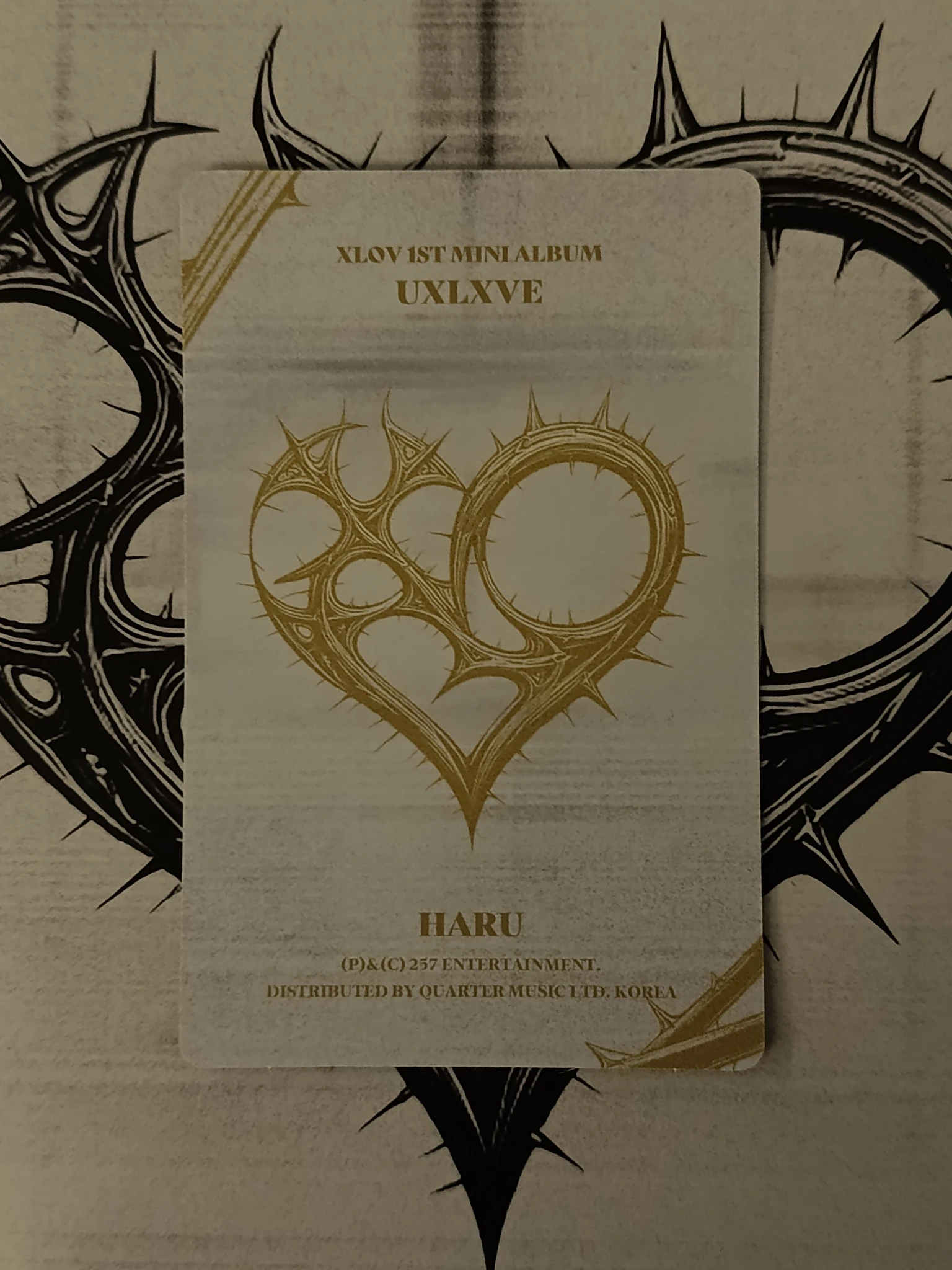 XLOV Haru XLOV - Haru - Uxlxve Album album photocard N version listing photo 2