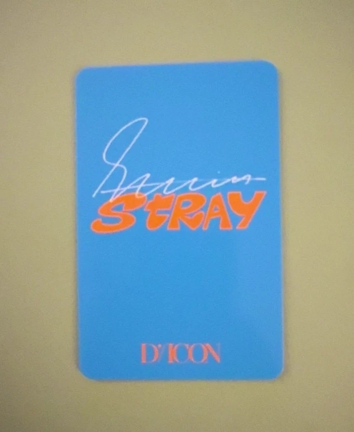 Stray Kids Seungmin Stray Kids - Seungmin - DICON D'FESTA 2022 Photobook Other dicon mini photobook version listing photo 2
