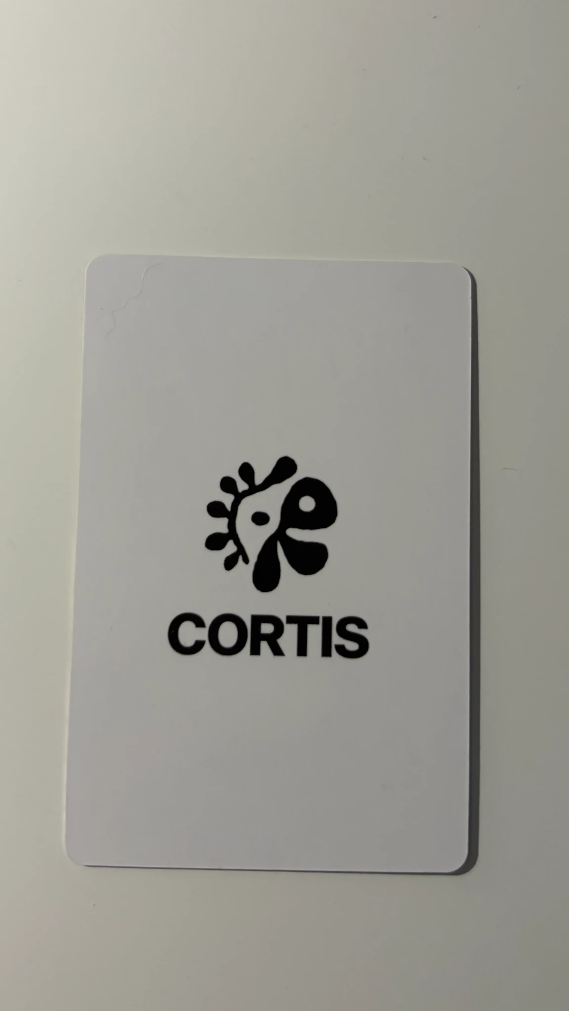 CORTIS Seonghyeon CORTIS - Seonghyeon - Exclusive Photocards Other weverse shop japan japan exclusive exclusive photocard listing photo 2