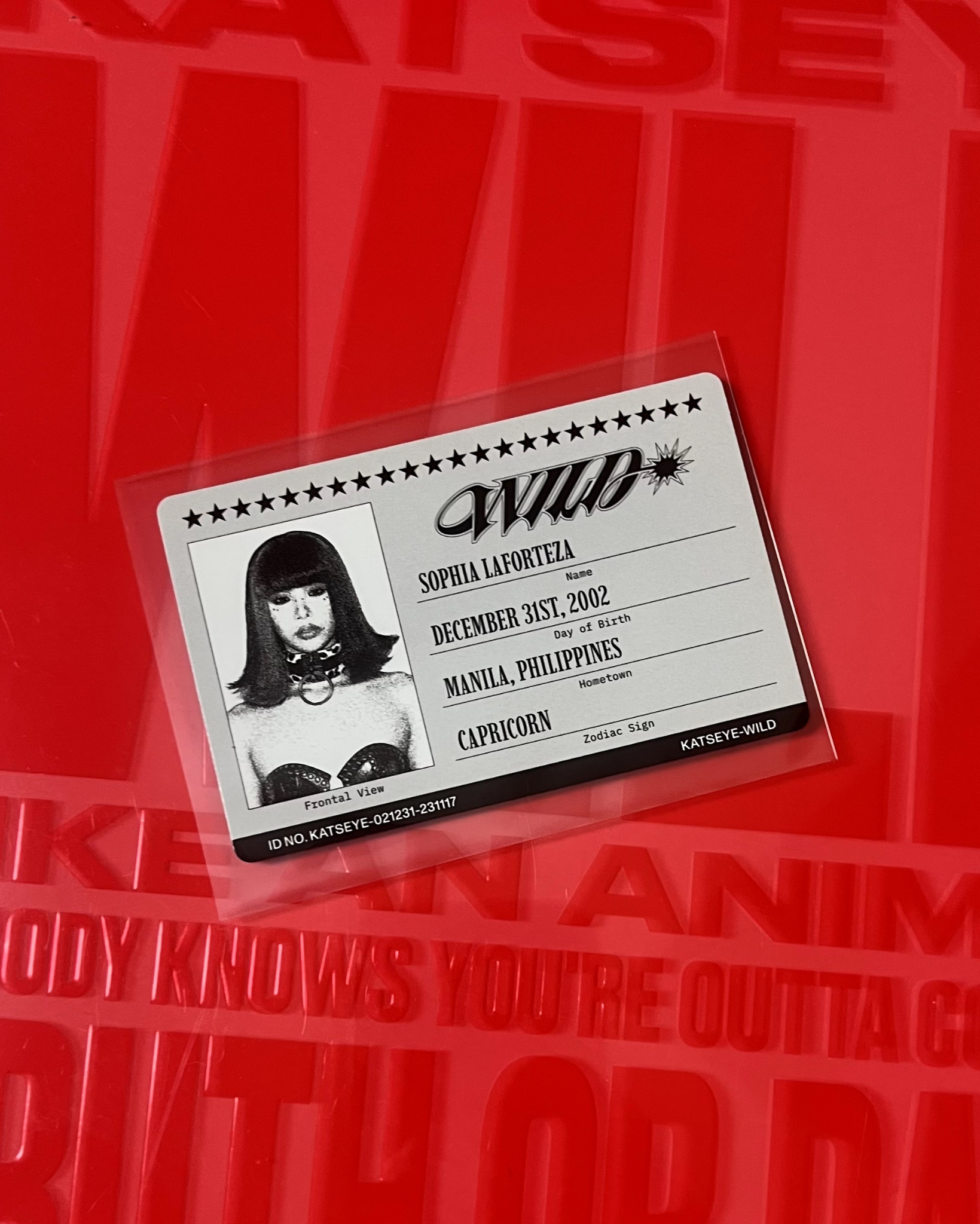 KATSEYE Sophia KATSEYE - Sophia - WILD Album retail exclusive target listing photo 2