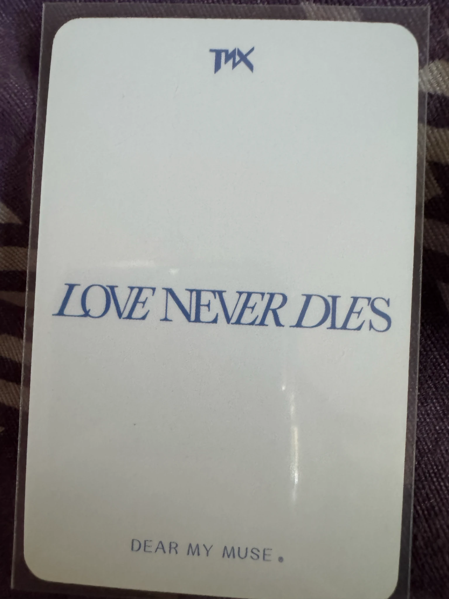 TNX Kyungjun TNX - Kyungjun - LOVE NEVER DIES Album dear my muse (dmm) pob (pre-order benefit) listing photo 2