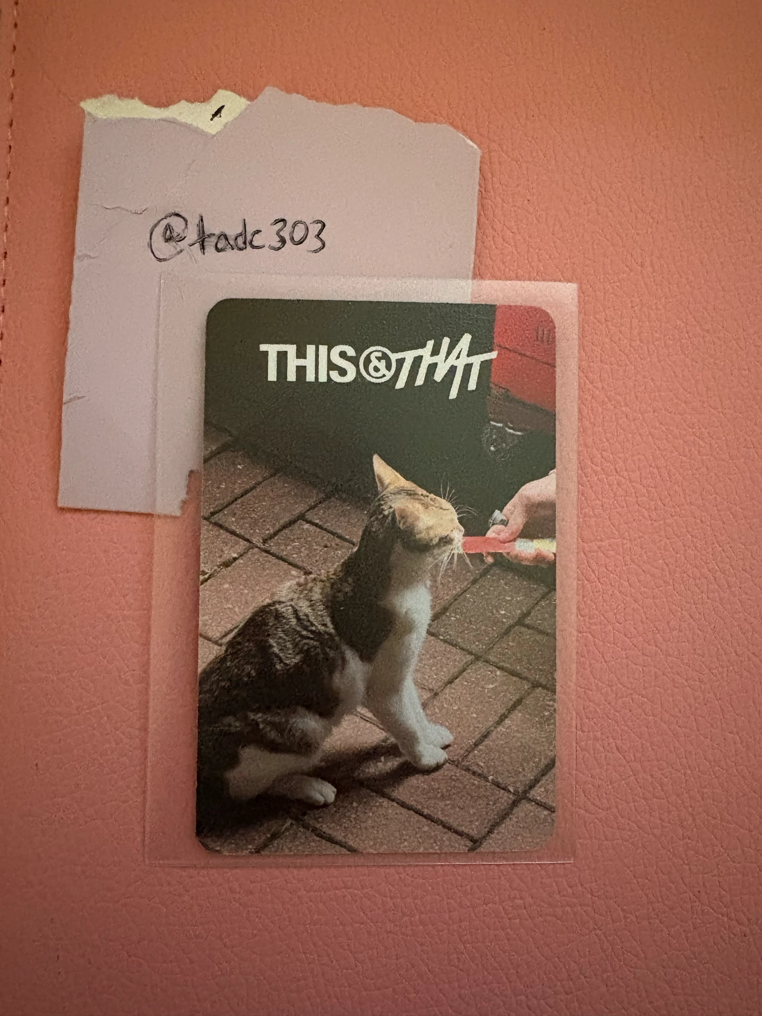 Stray Kids I.N Stray Kids - I.N - This & That Album that version album photocard listing photo 2