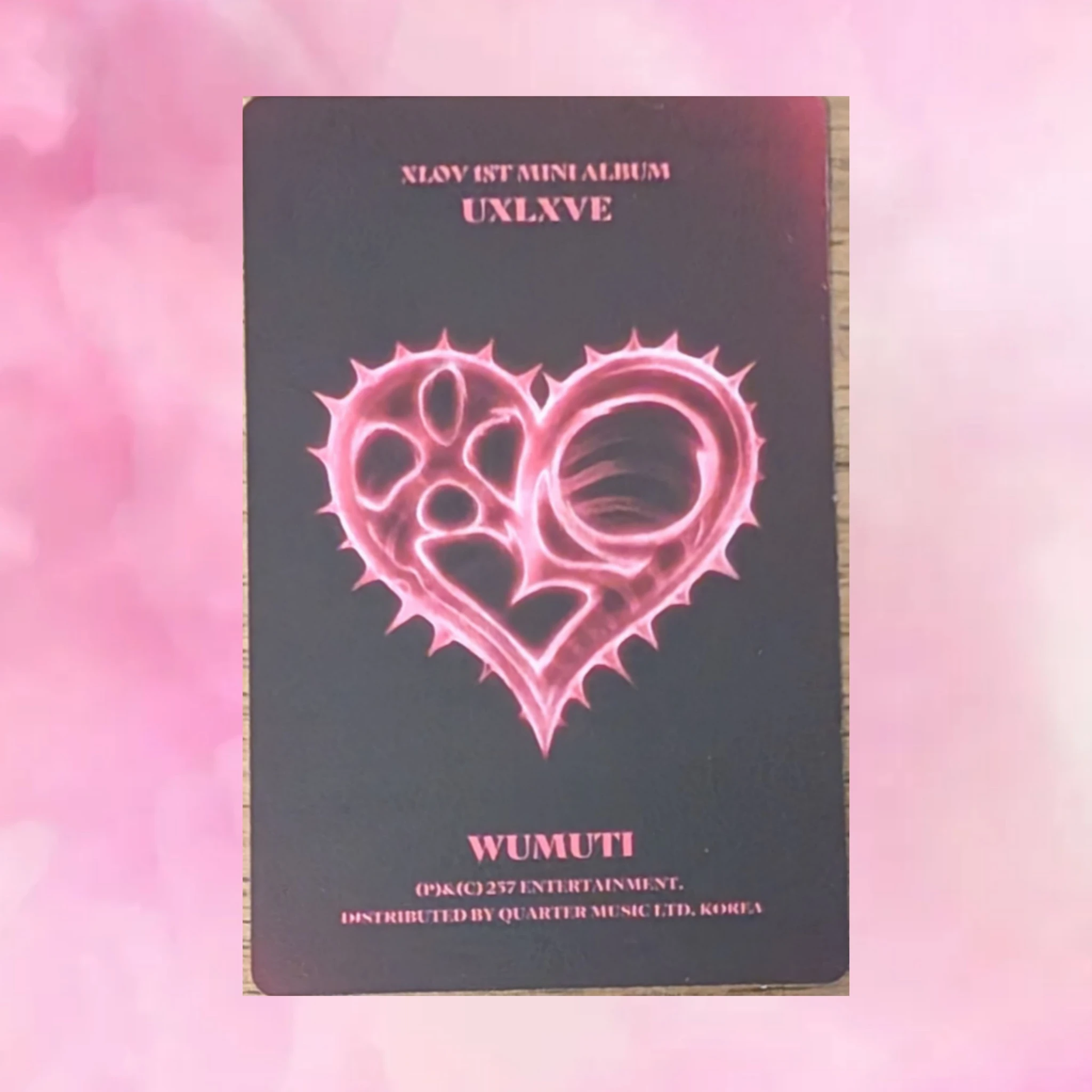XLOV Wumuti XLOV - Wumuti - UXLXVE Album album photocard O version listing photo 2
