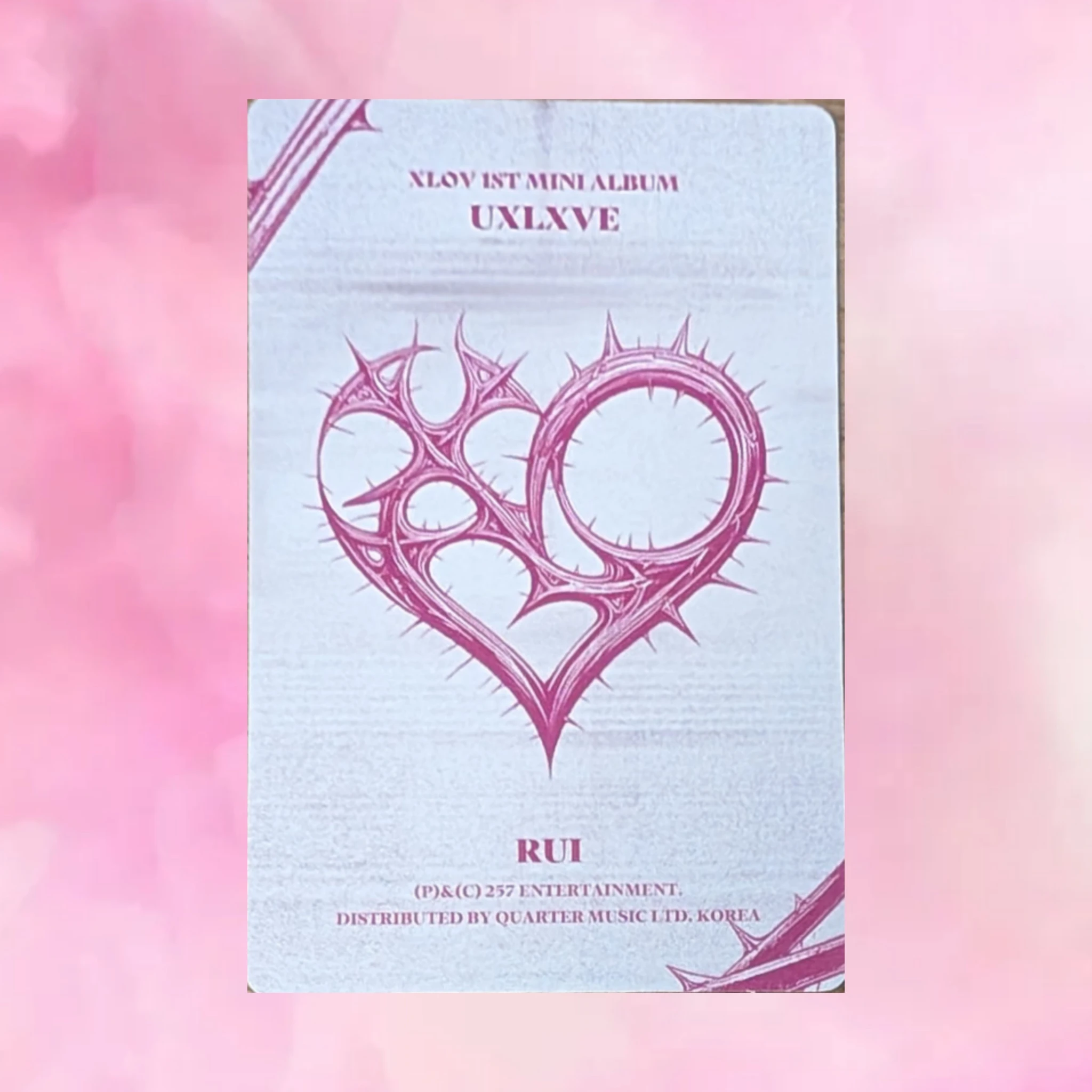 XLOV Rui XLOV - Rui - UXLXVE Album album photocard N version listing photo 2