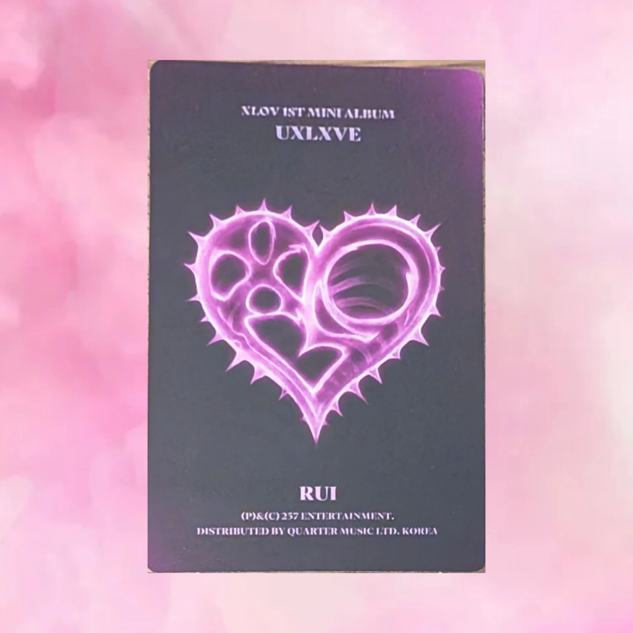 XLOV Rui XLOV - Rui - UXLXVE Album O version album photocard listing photo 2