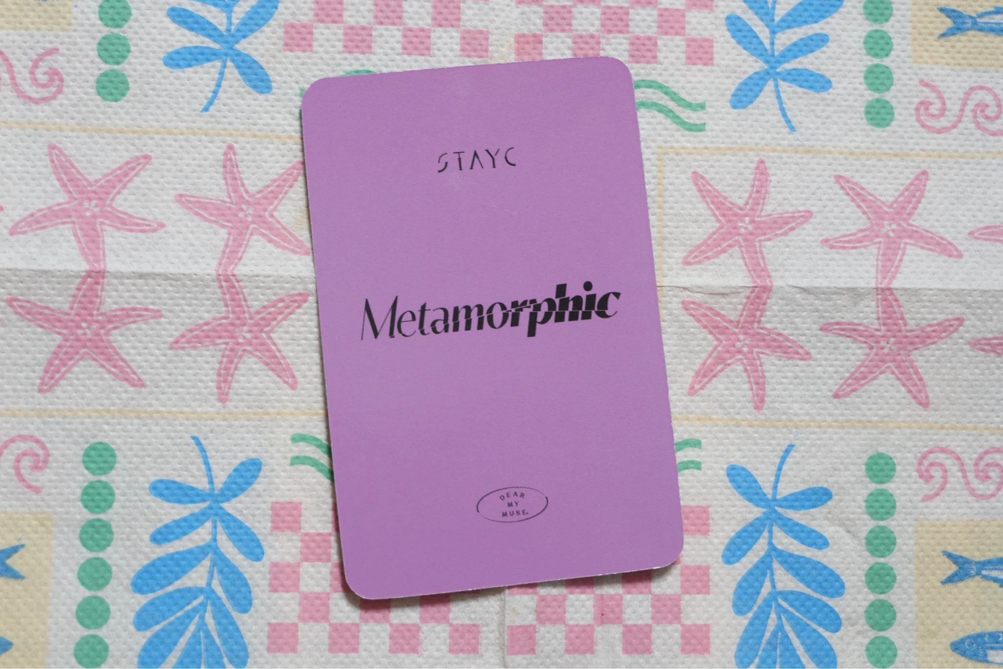 STAYC Yoon STAYC - Yoon - Metamorphic Album dear my muse (dmm) round 2 video call (fancall) listing photo 2