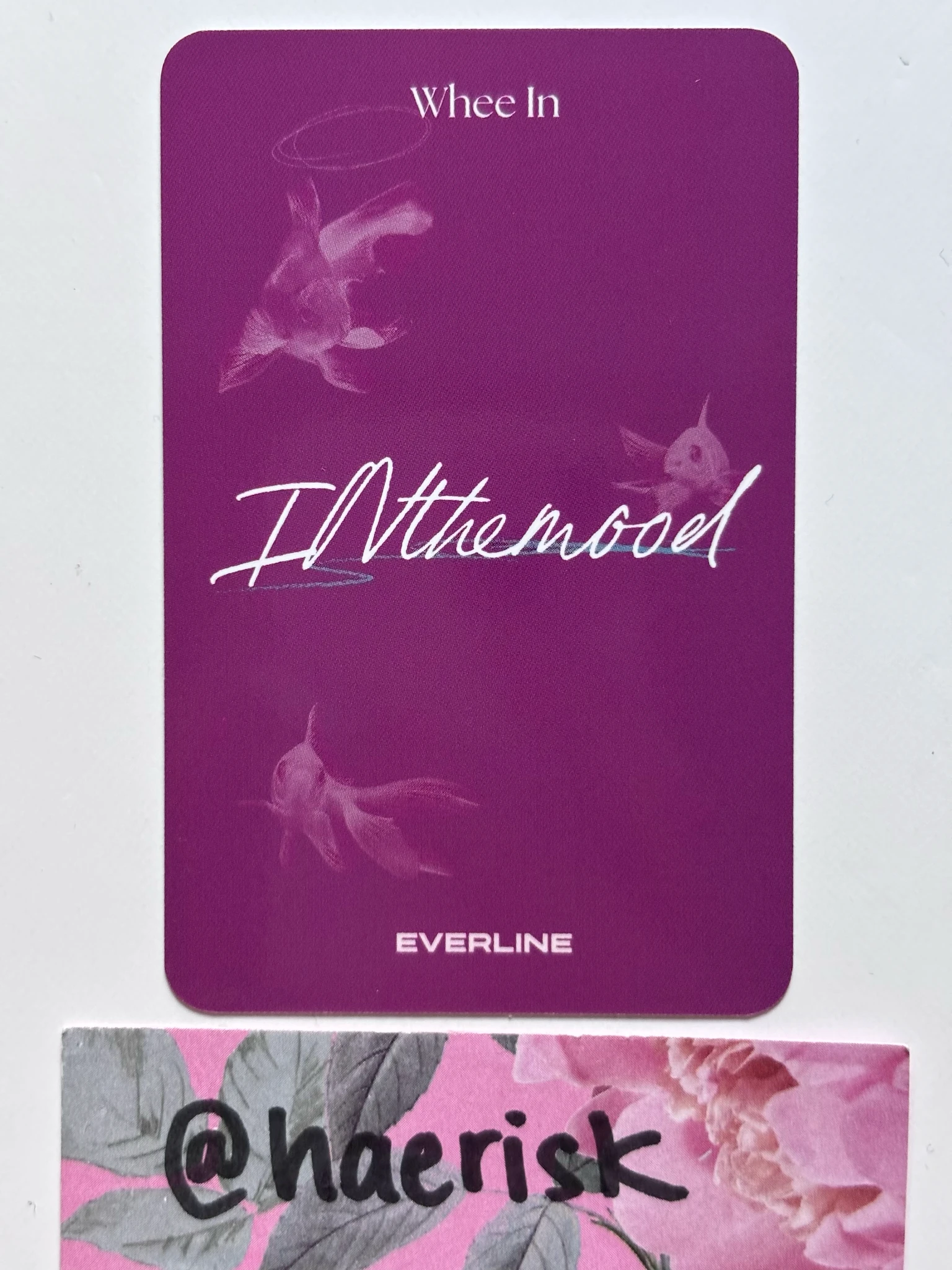 MAMAMOO Wheein MAMAMOO - Wheein - In the Mood Album merch photocard everline merch pop-up photocard holder listing photo 2