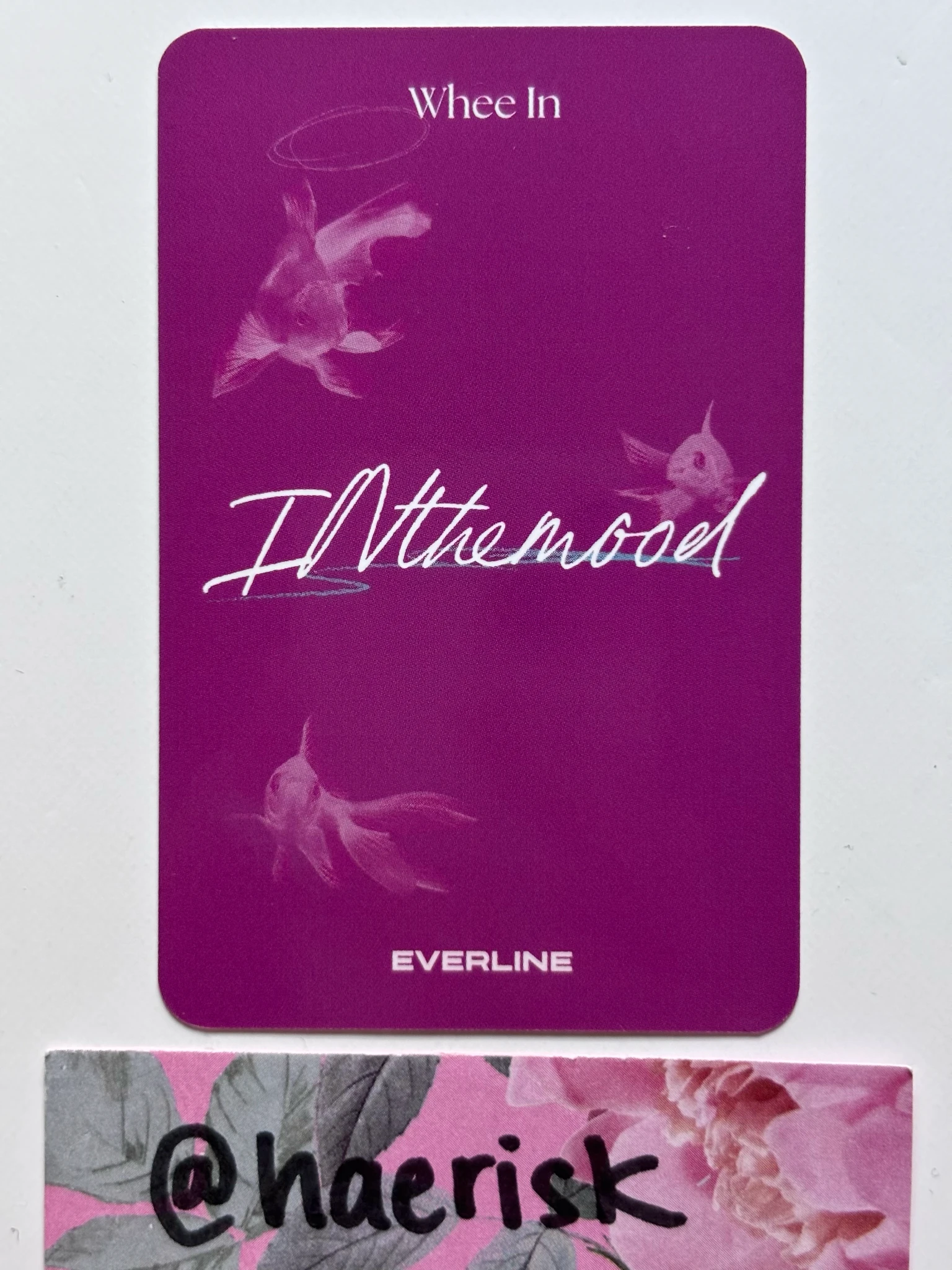 MAMAMOO Wheein MAMAMOO - Wheein - In the Mood Album pop-up everline photocard holder merch photocard merch listing photo 2