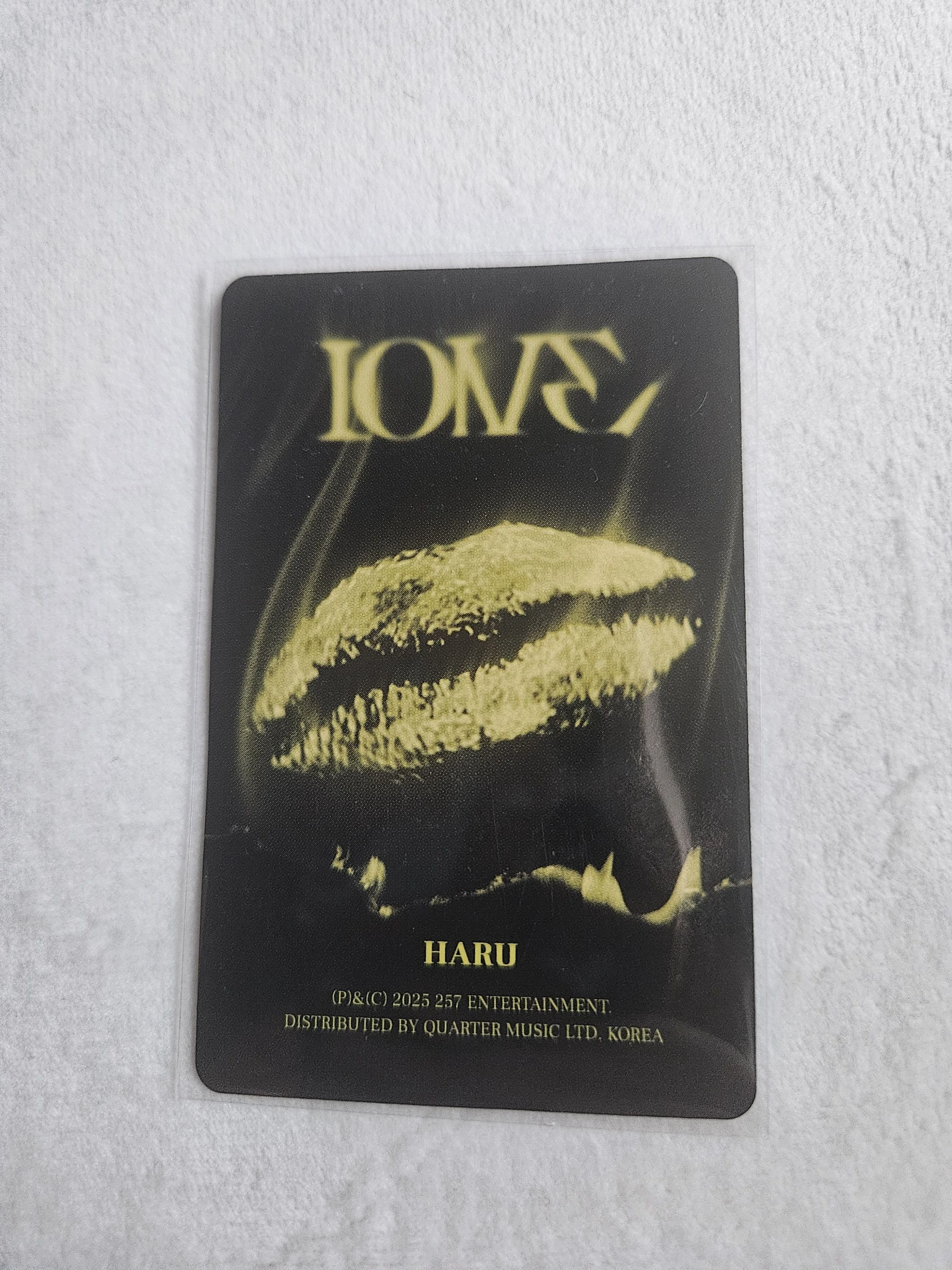 XLOV Haru XLOV - Haru - I ONE Album 1 ver. listing photo 2