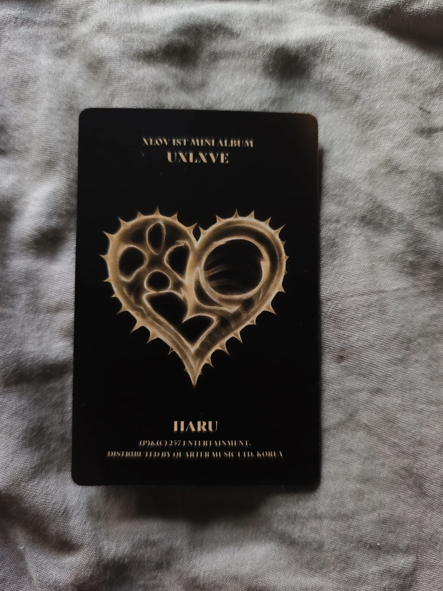 XLOV Haru XLOV - Haru - UXLXVE Album album photocard O version listing photo 2