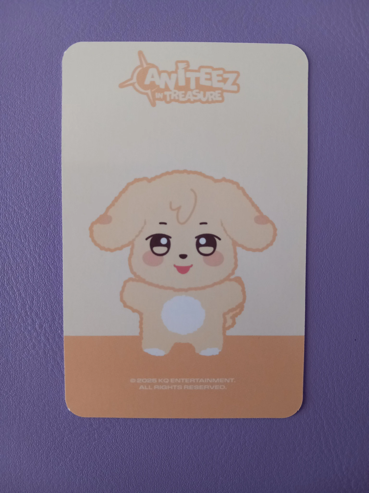 ATEEZ Yunho ATEEZ - Yunho - ANITEEZ IN TREASURE Other mini plush doll listing photo 2