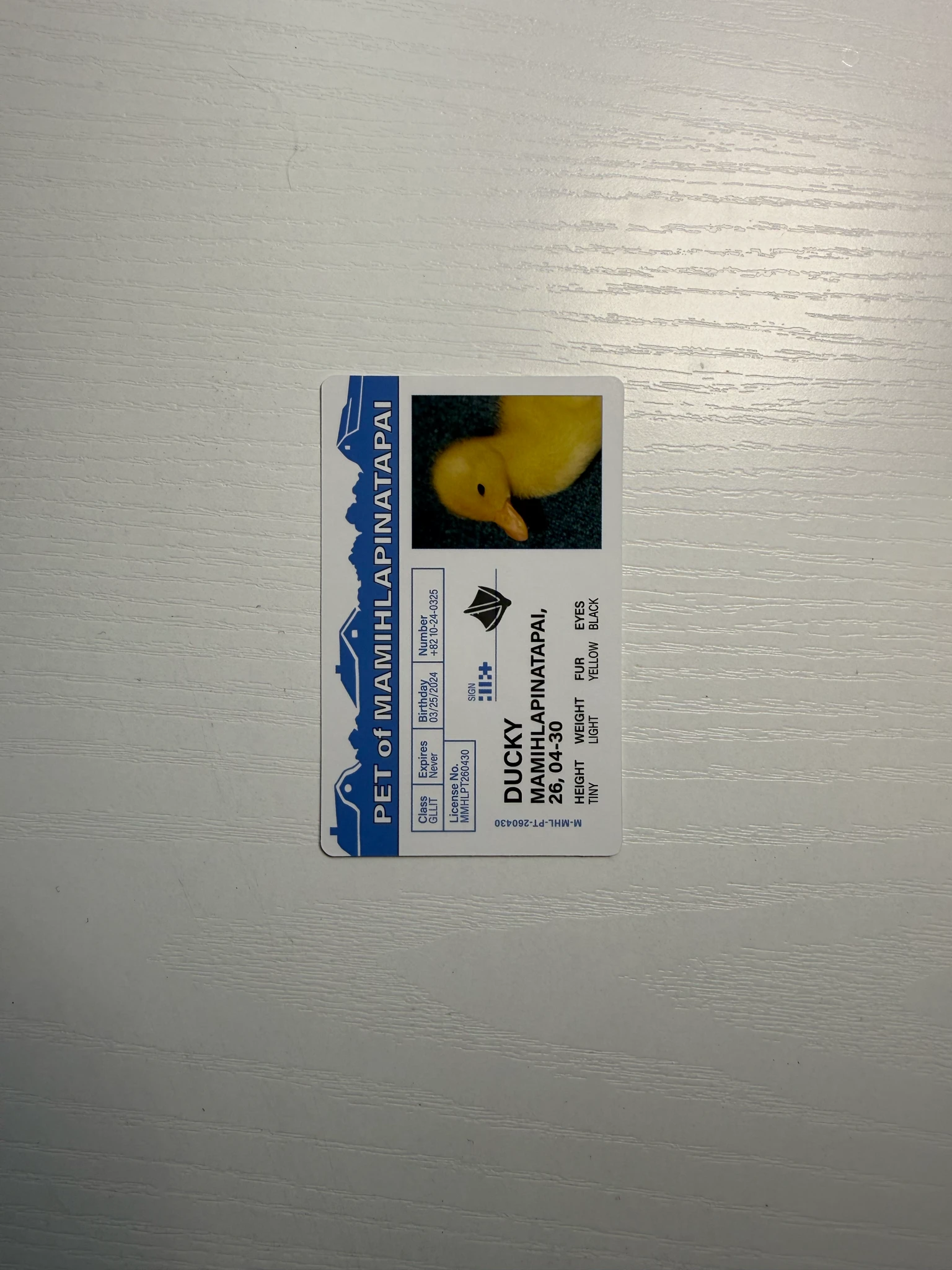 ILLIT Minju ILLIT - Minju - MAMIHLAPINATAPAI Album paw paw version listing photo 2