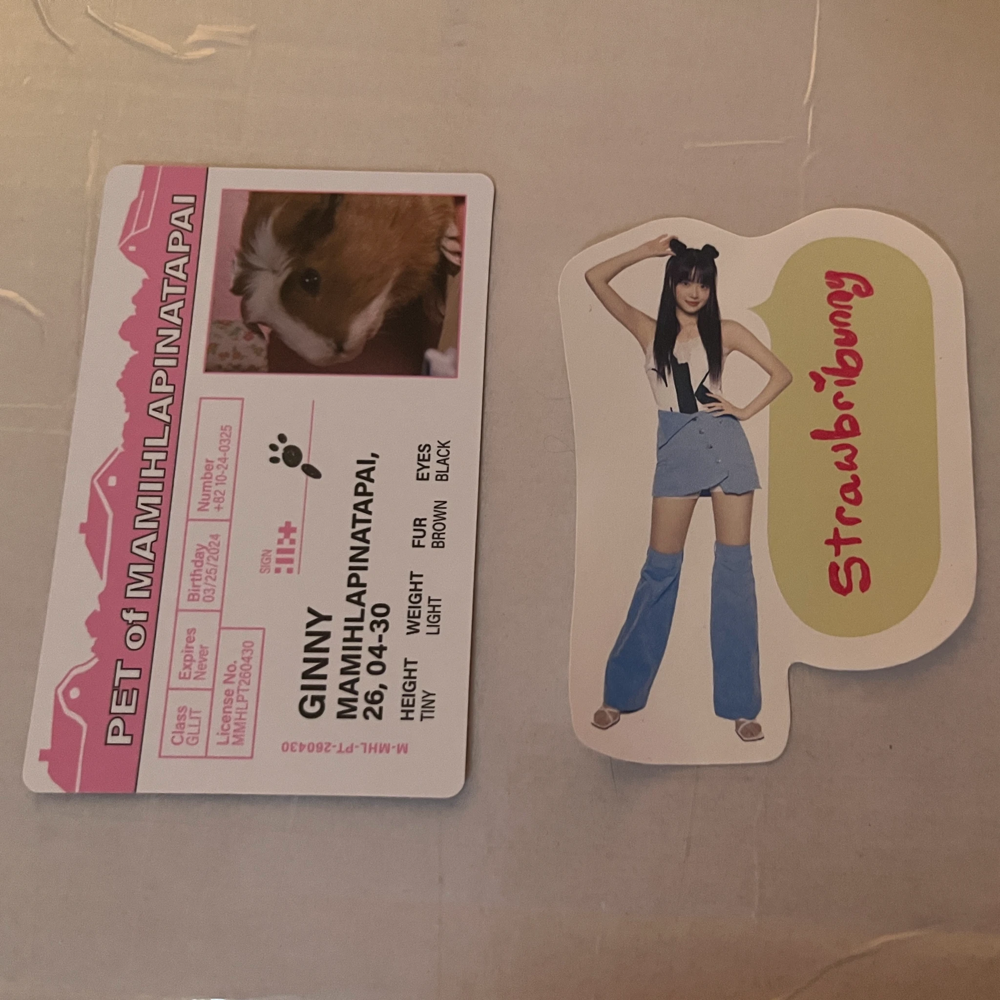 ILLIT Wonhee ILLIT - Wonhee - MAMIHLAPINATAPAI Album paw paw version listing photo 2
